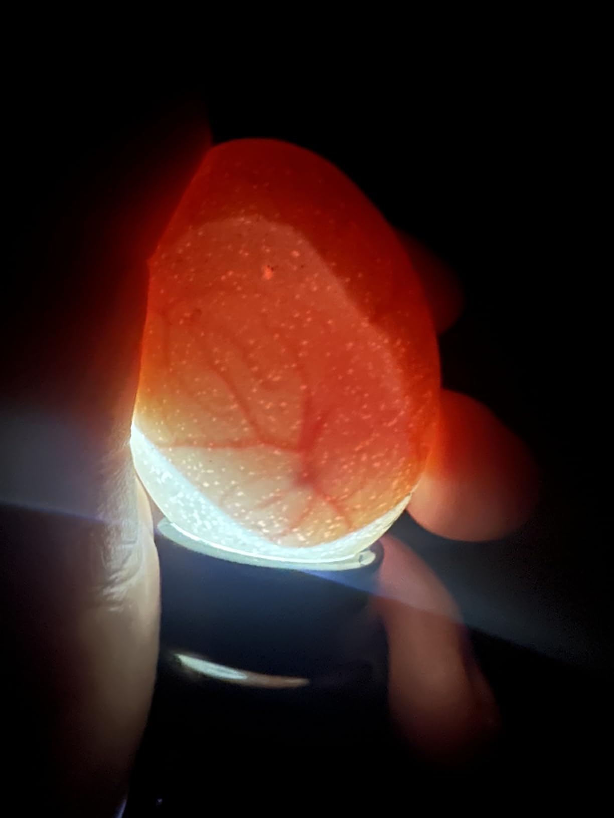 Magicfly Bright Cool LED Light Egg Candler Tester, Powered Only by Power Supply customer photo 2