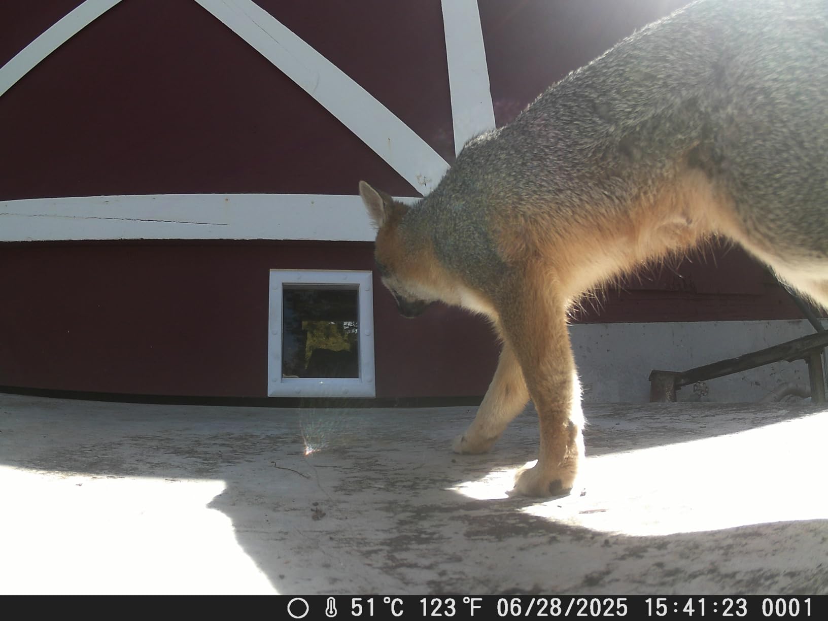 Power Pet Automatic Electronic Pet Door by High Tech Pet - Pet Operated Dog Door, High Security, Air Tight, for Medium Dogs up to 30 lbs. (8¼