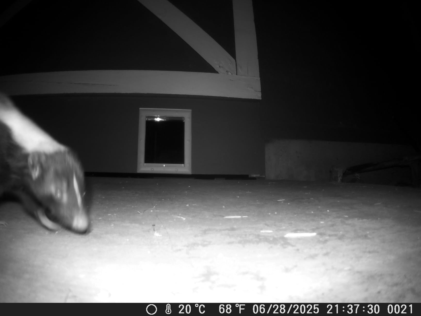 Power Pet Automatic Electronic Pet Door by High Tech Pet - Pet Operated Dog Door, High Security, Air Tight, for Medium Dogs up to 30 lbs. (8¼