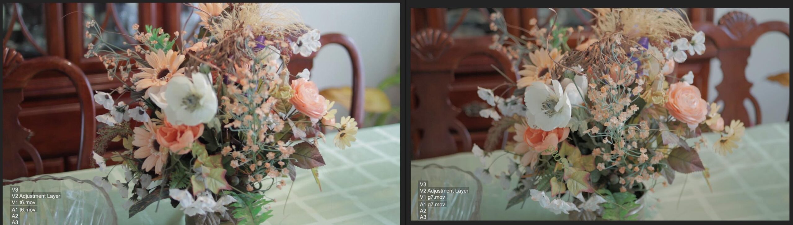 Datacolor SpyderCHECKR 24 - Color calibrate your camera for consistent image color across multiple camera systems customer photo 1