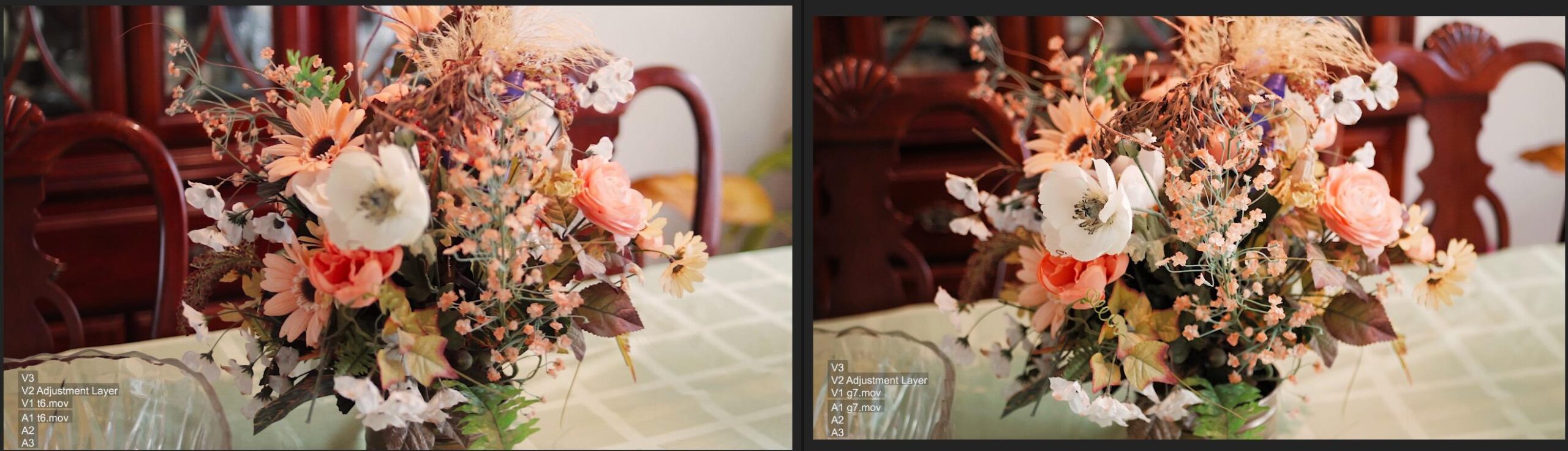 Datacolor SpyderCHECKR 24 - Color calibrate your camera for consistent image color across multiple camera systems customer photo 2