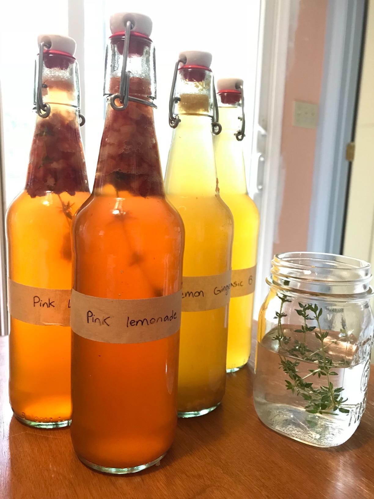 The Kombucha Shop Organic Kombucha Starter Kit - 1 Gallon Brewing Kit Includes All The Essentials Required for Brewing Kombucha At Home customer photo 2