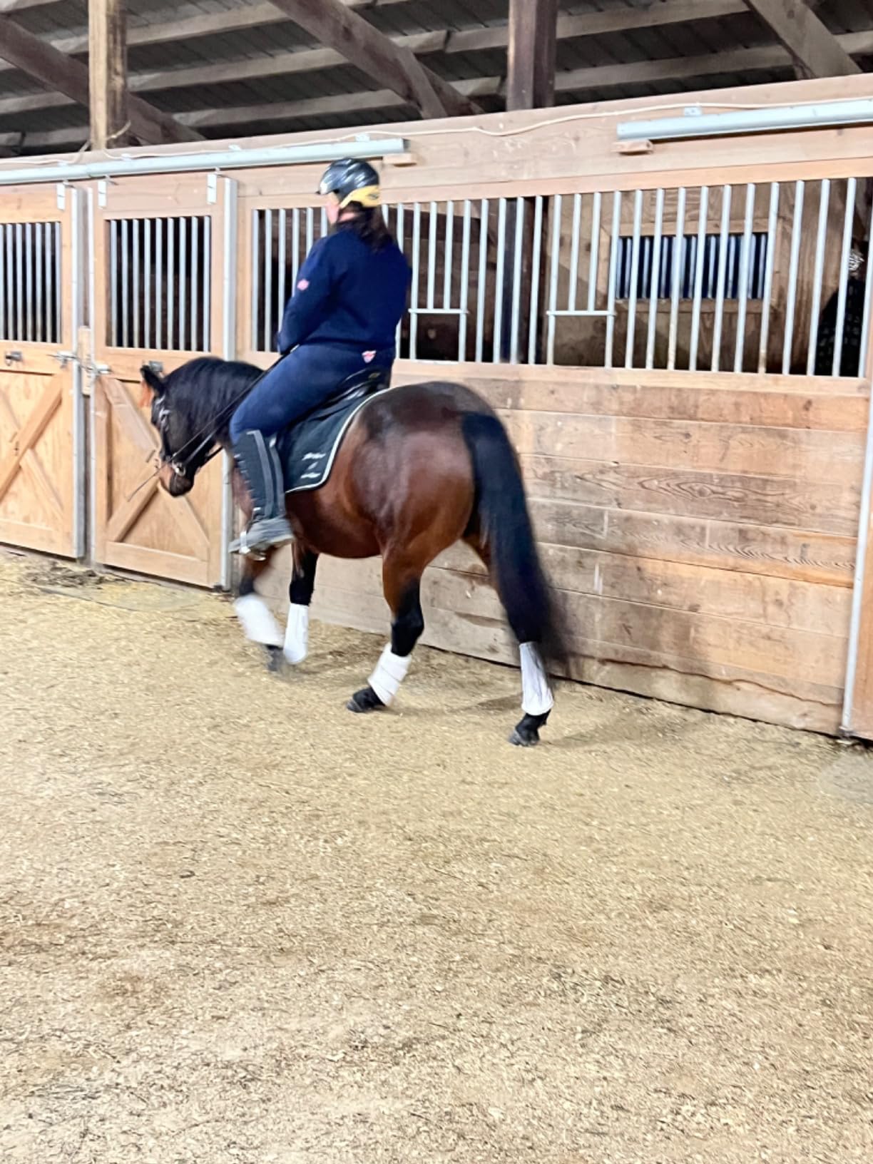 ECP Equine Comfort Products Adjustable Shock Absorbing Memory Foam Half Saddle Pad, Injury Prevention & Pressure Relief, Customizable Fit, Breathable for All Riding Styles customer photo 1