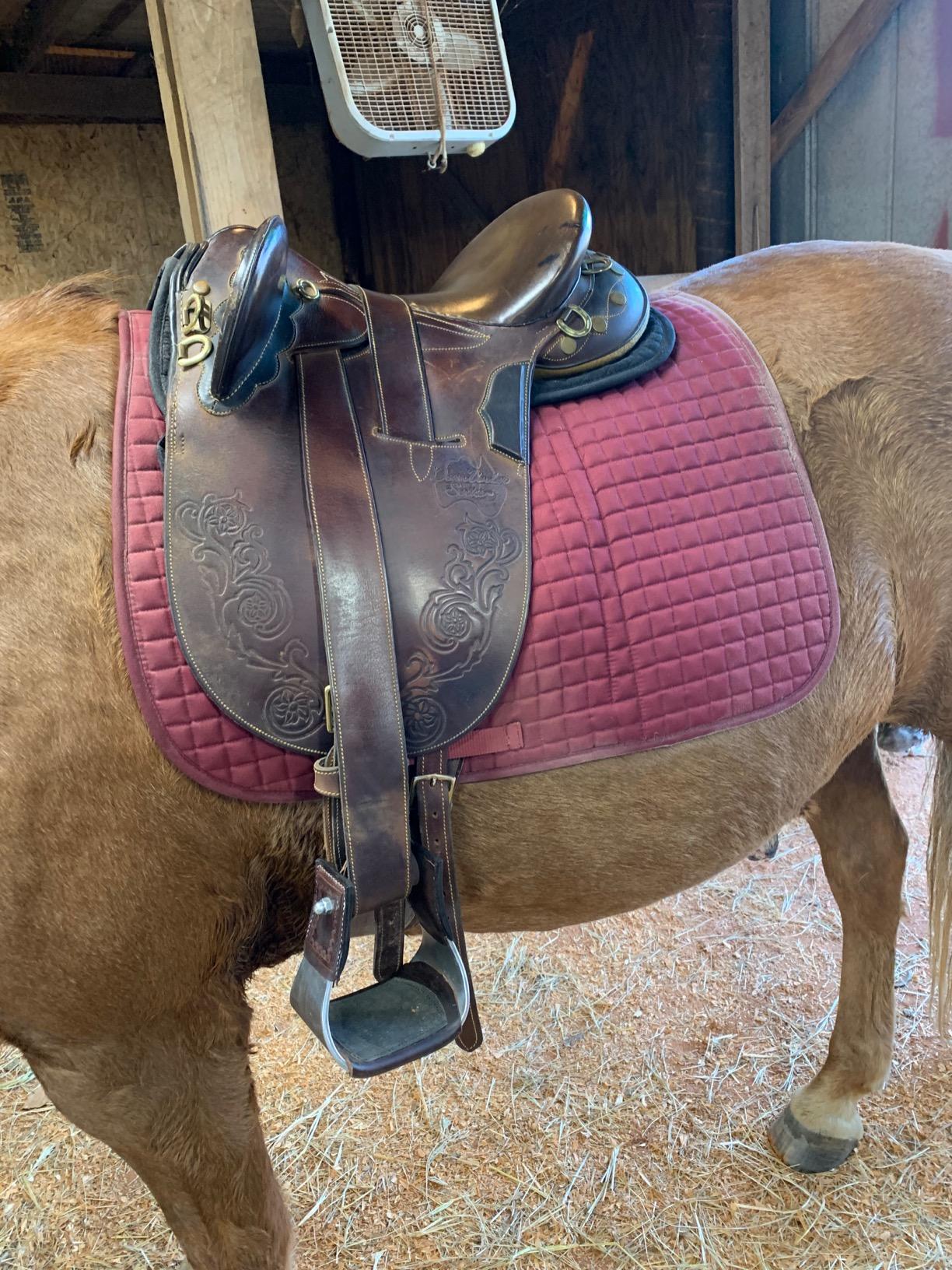 ECP Equine Comfort Products Adjustable Shock Absorbing Memory Foam Half Saddle Pad, Injury Prevention & Pressure Relief, Customizable Fit, Breathable for All Riding Styles customer photo 2