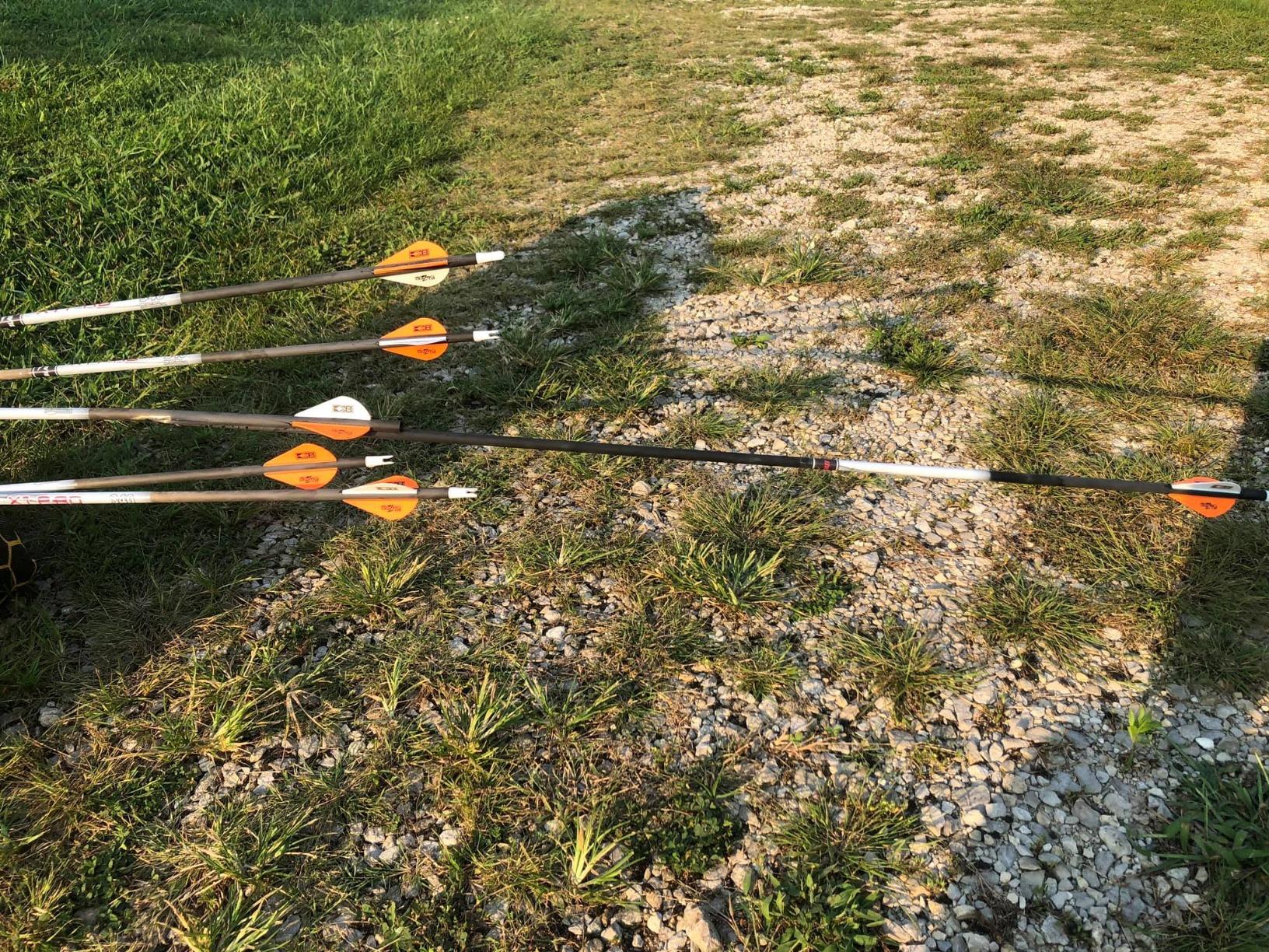 Trophy Ridge React Pro 5 Pin Bow Sight - Lighter, Stronger, More Reliable - Tool Less Windage and Elevation Adustability, 2nd/3rd Axis Leveling, Adjustable Click Light, Glow Ring customer photo 1