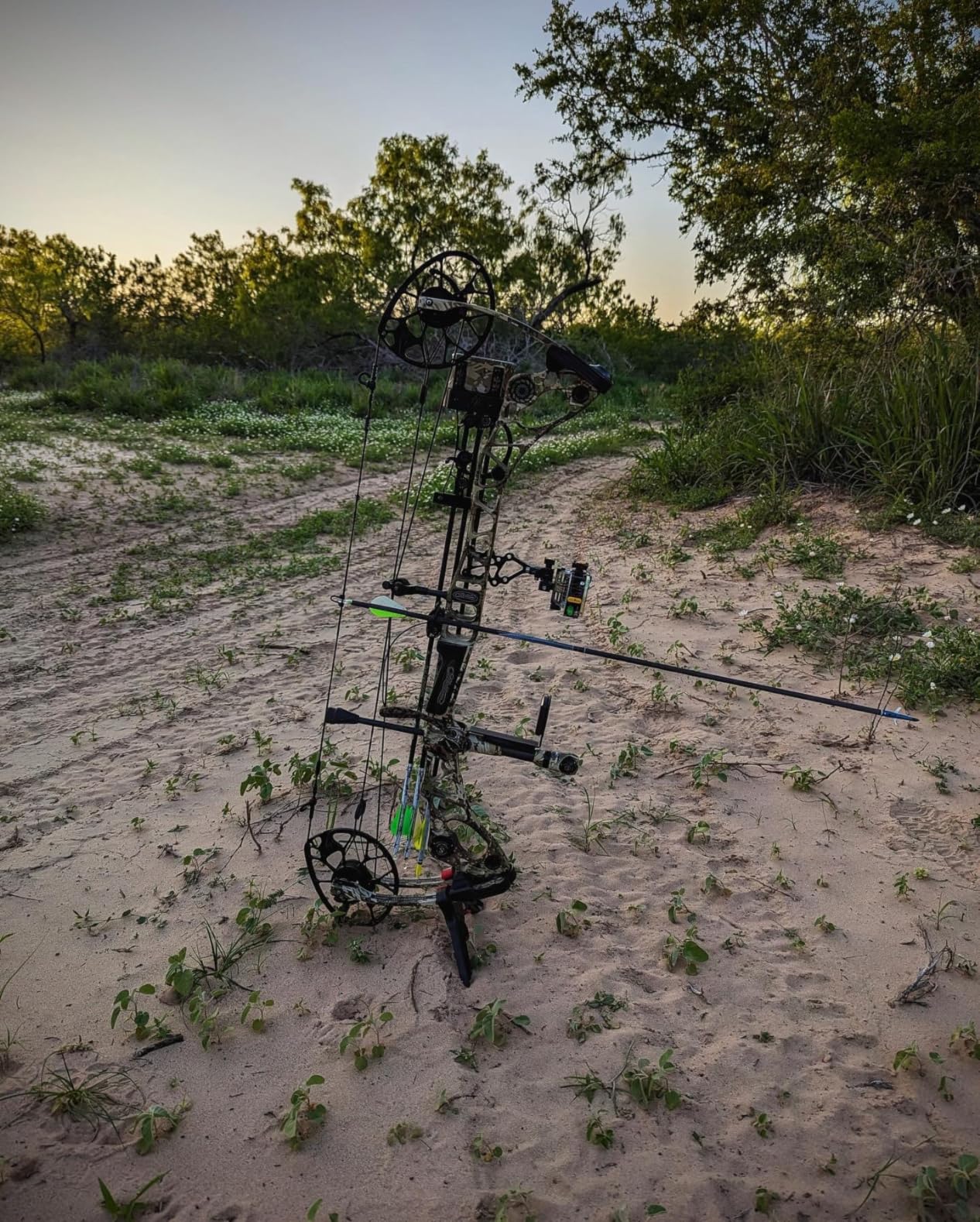 Trophy Ridge React Pro 5 Pin Bow Sight - Lighter, Stronger, More Reliable - Tool Less Windage and Elevation Adustability, 2nd/3rd Axis Leveling, Adjustable Click Light, Glow Ring customer photo 2