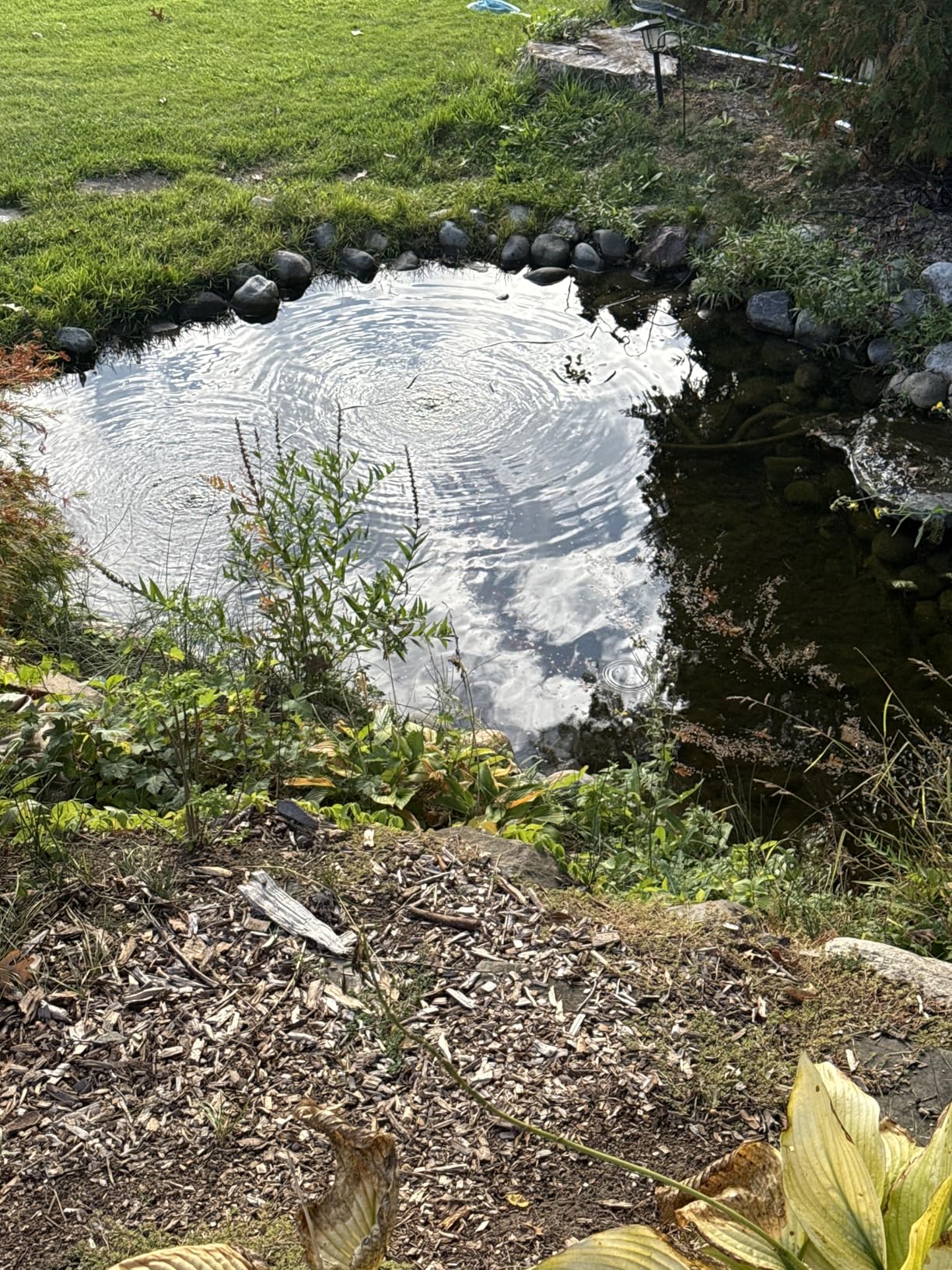 CrystalClear PondAir 2, Complete Aeration Kit, Whisper Quiet Water Garden Oxygenation Bubbler System Adds Oxygen to Koi & Fish Ponds, Outdoor Aerator Compressor Pump, Tubing & 2 Air Submersible Stone customer photo 1