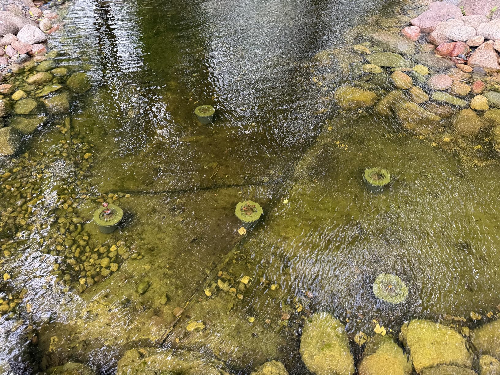 CrystalClear PondAir 2, Complete Aeration Kit, Whisper Quiet Water Garden Oxygenation Bubbler System Adds Oxygen to Koi & Fish Ponds, Outdoor Aerator Compressor Pump, Tubing & 2 Air Submersible Stone customer photo 2