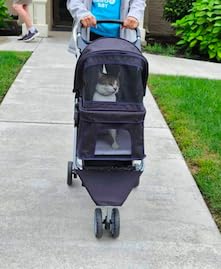 BestPet 3-Wheel Pet Stroller | Dog and Cat Stroller | Breathable Mesh | Lightweight Travel Carrier | Waterproof & Foldable Design | Storage Basket customer photo 1