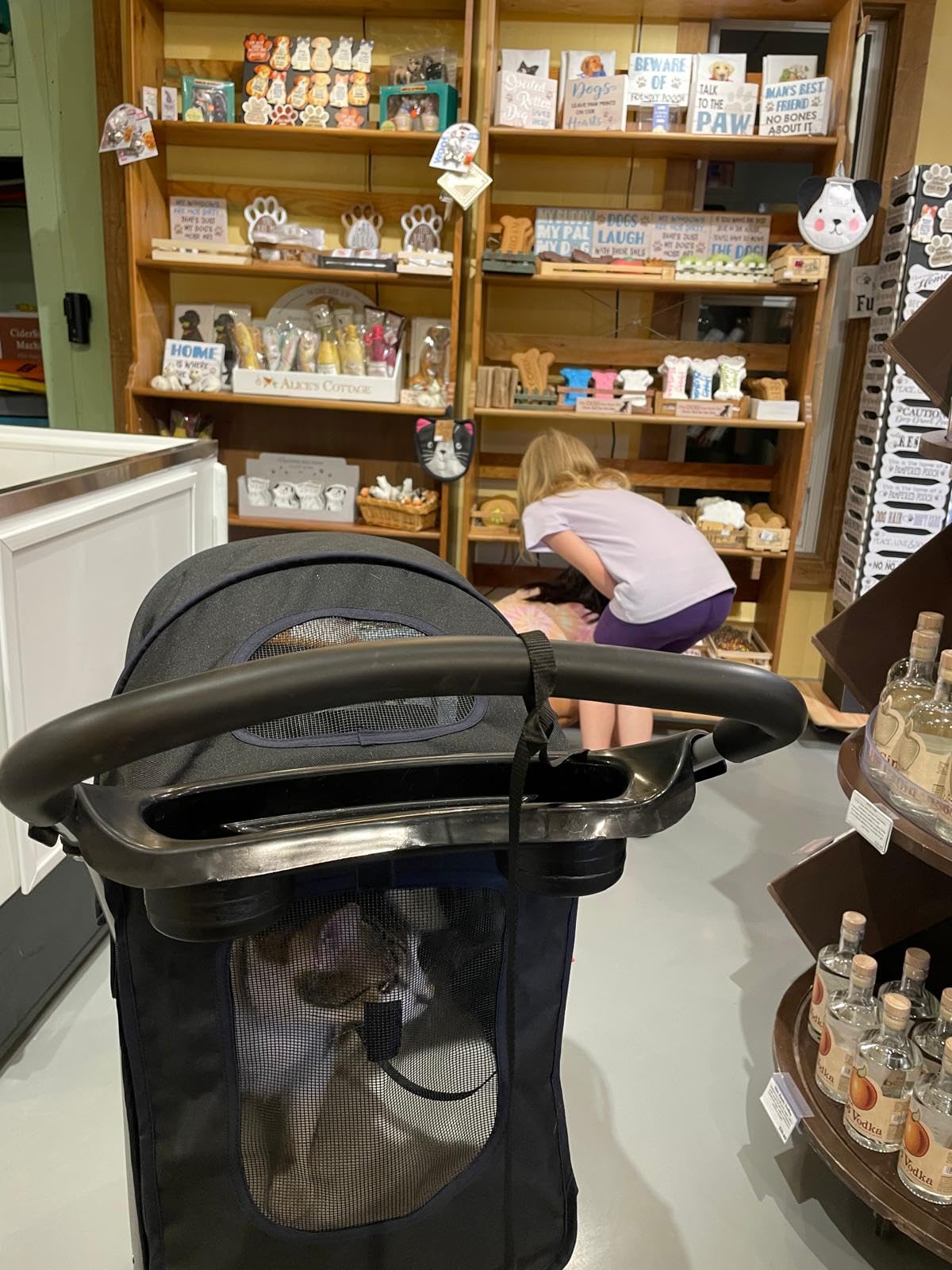 BestPet 3-Wheel Pet Stroller Dog and Cat Stroller Breathable Mesh Lightweight Travel Carrier Waterproof & Foldable Design Storage Basket Black for Daily Walks & Outdoor Use customer photo 2