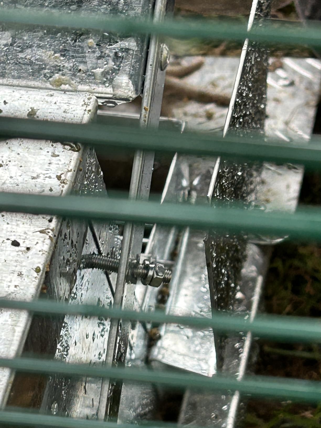 Grandpas Feeders Automatic Chicken Feeder - 20 lbs No Waste Poultry Feeder, Rat Proof & Rodent Proof Treadle Chicken Feeder, Galvanized Steel with Lid, Feeds 6 Chickens up to 10 Days customer photo 2