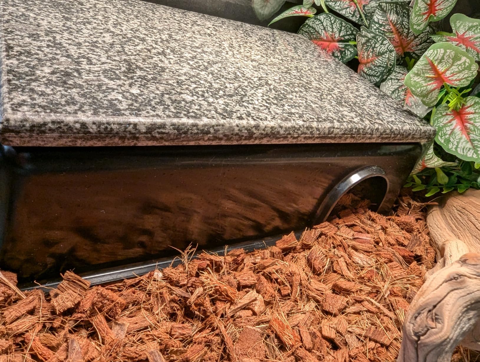 Pangea Reptile Hide Box (D - Large 13