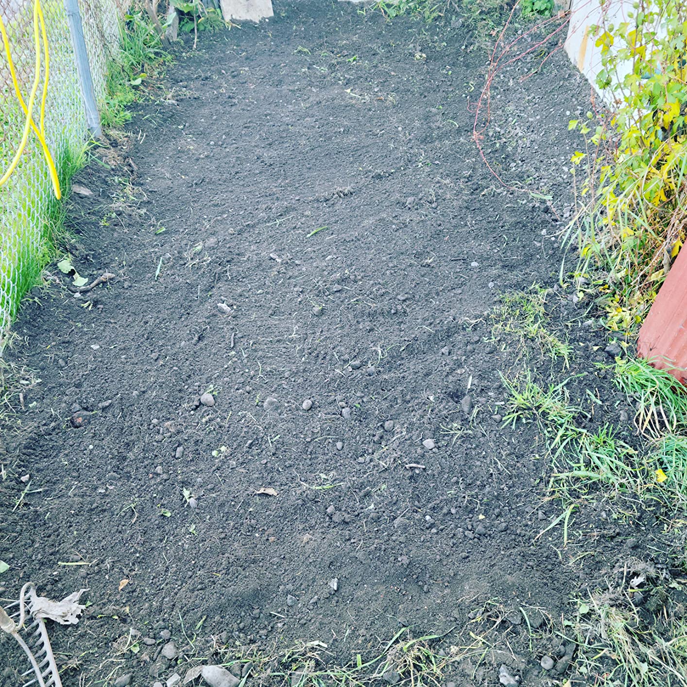 Sun Joe Corded Electric Garden Tiller & Cultivator with Steel Tines, 16 Inch, 12-Amp Motor - Heavy-Duty Tilling Machine for Lawn, Yard, and Gardening Care, TJ603E customer photo 1