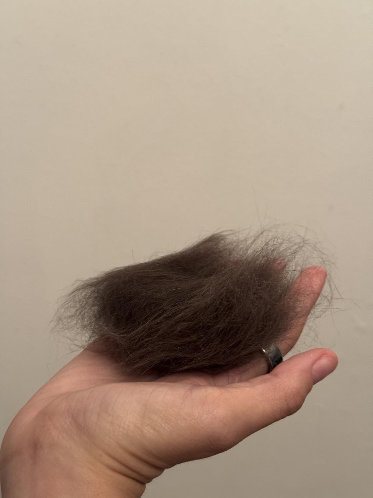 SleekEZ Deshedding Grooming Tool | Horse Brush for Horse Grooming Kit | Pet Hair Removal Tool | Curry Comb | Deshedding Brush | Shedding Comb | Works on All Hair Types | Made in USA | 1 pack | 10 inch customer photo 2