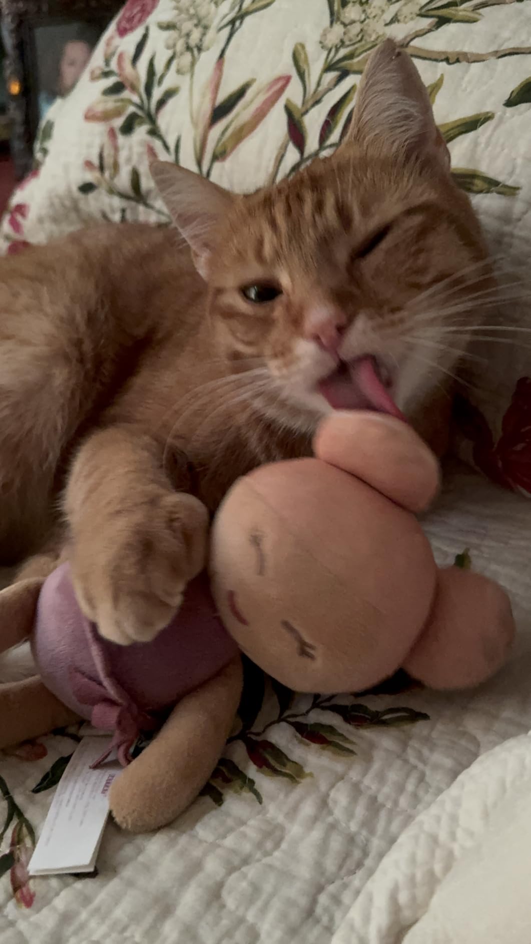 SleekEZ Cat Brush for Shedding & Cat Brushes for Indoor Cats | Pet Brush for Cats | Grooming Tool | Works for Short & Long Haired Pets | Great for All Fur Types | Made in USA | 2.5 inch customer photo 2