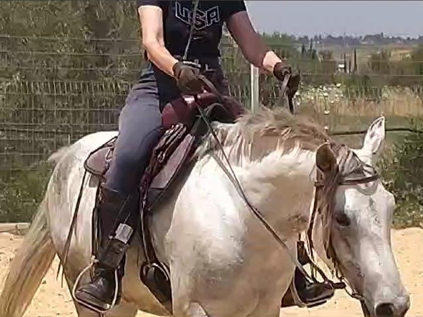 Uvex i-Performance 2 Riding Gloves - Breathable, Touchscreen-Capable Equestrian Gloves for Men & Women customer photo 1