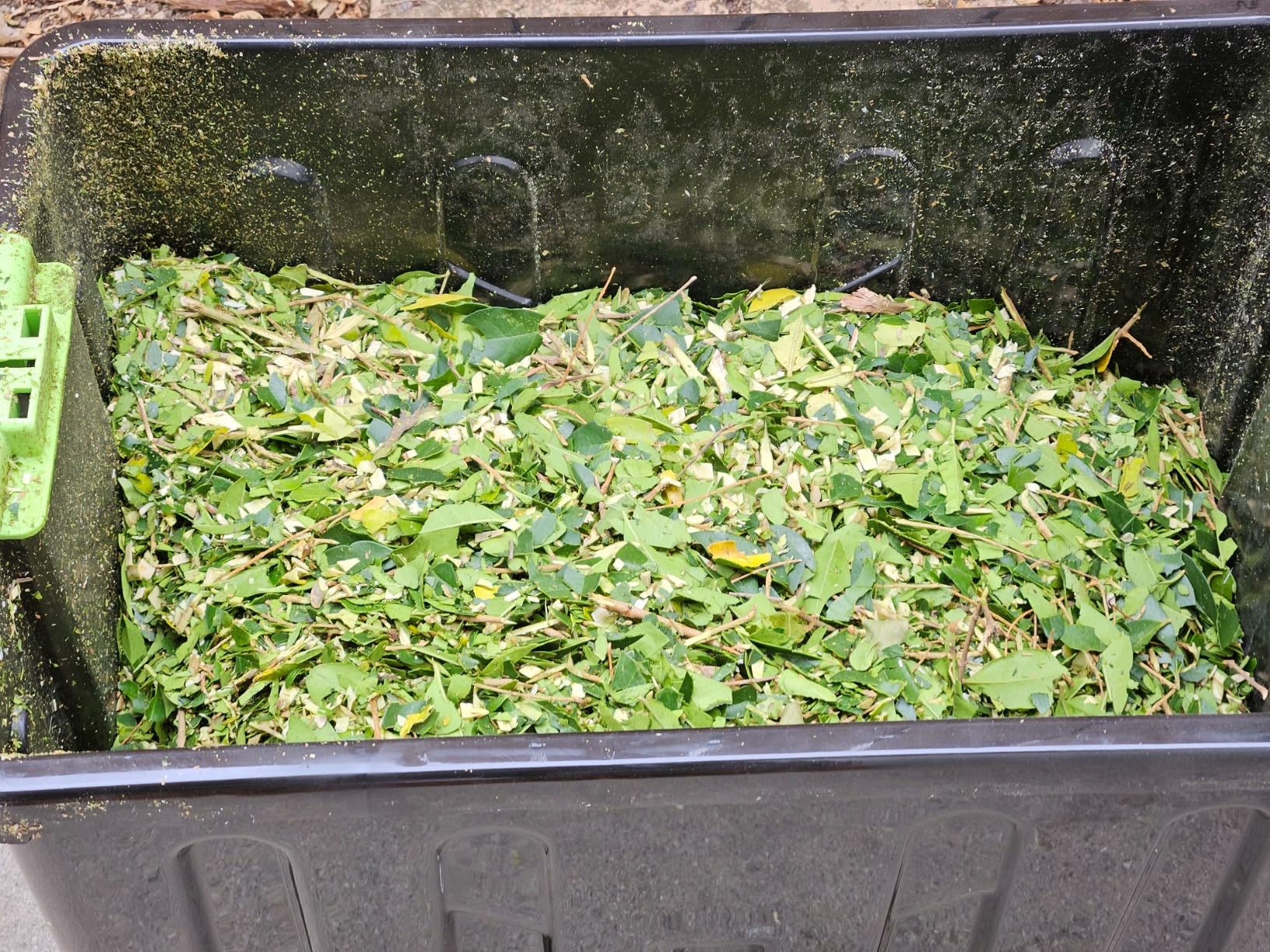 Earthwise GS70015 15-Amp Garden Corded Electric Chipper, Collection Bin customer photo 2