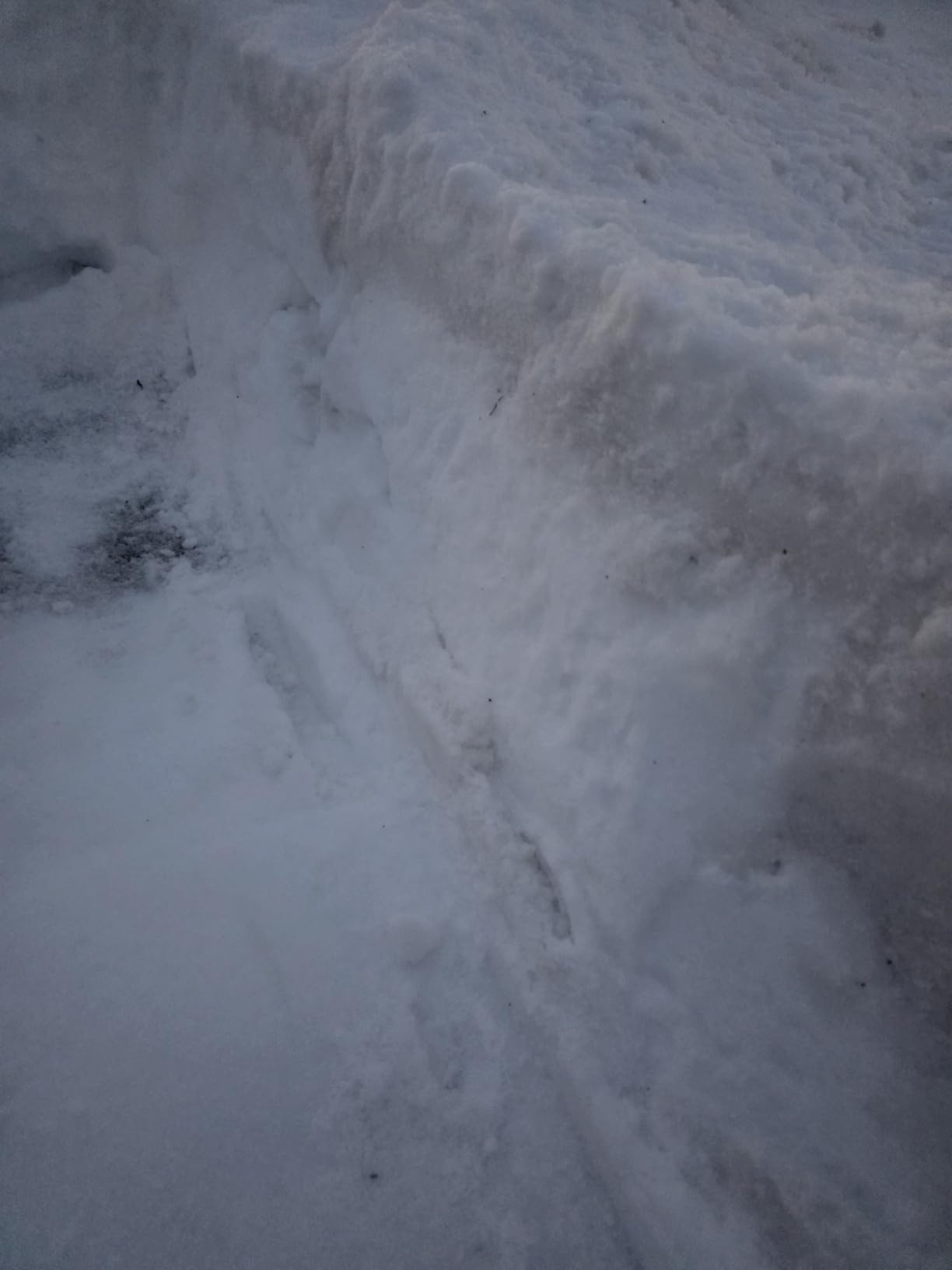 Snow Joe Electric Snow Blower, Push Snow Thrower for Driveway Snow Removal, Blue, SJ618E customer photo 2