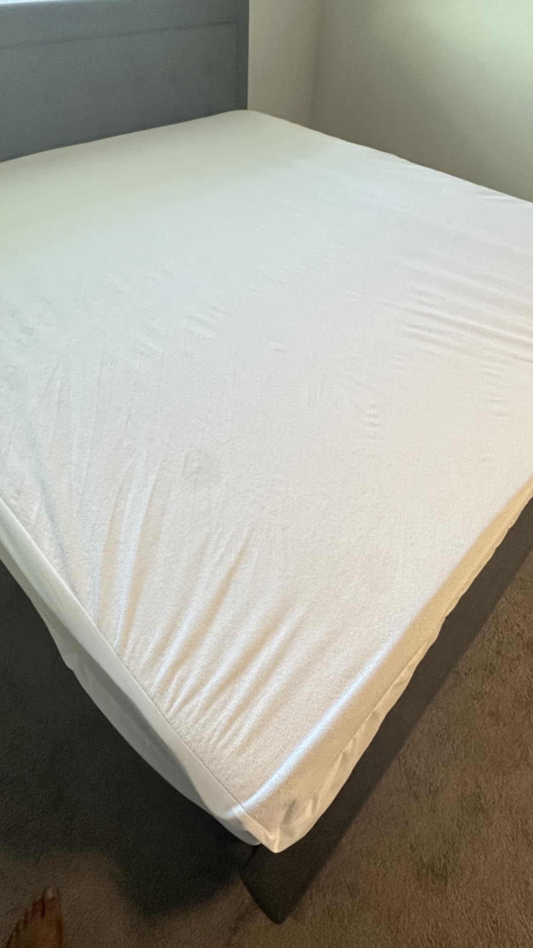 Queen (13-16 in. Deep) SureGuard Mattress Encasement - 100% Waterproof, Bed Bug Proof, Hypoallergenic - Premium Zippered Six-Sided Cover customer photo 1
