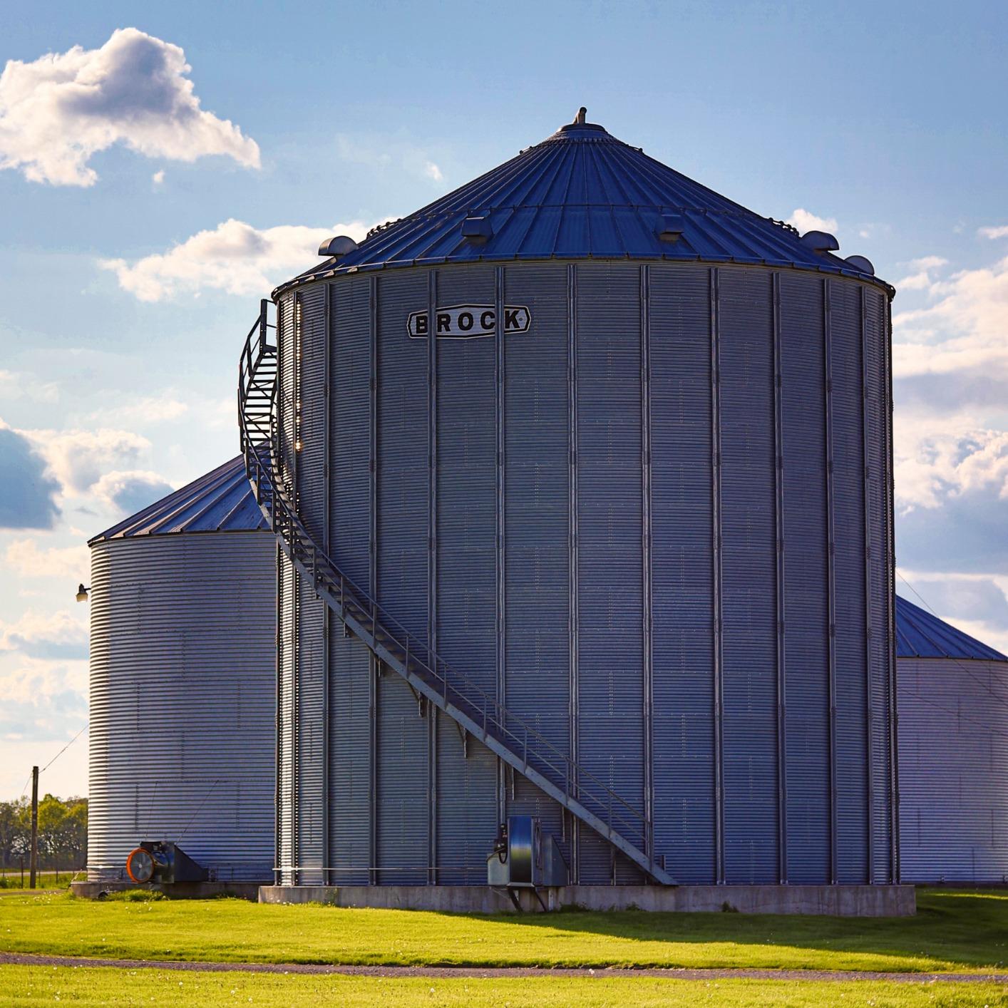 Canon EF 50mm f/1.8 STM Lens customer photo 1