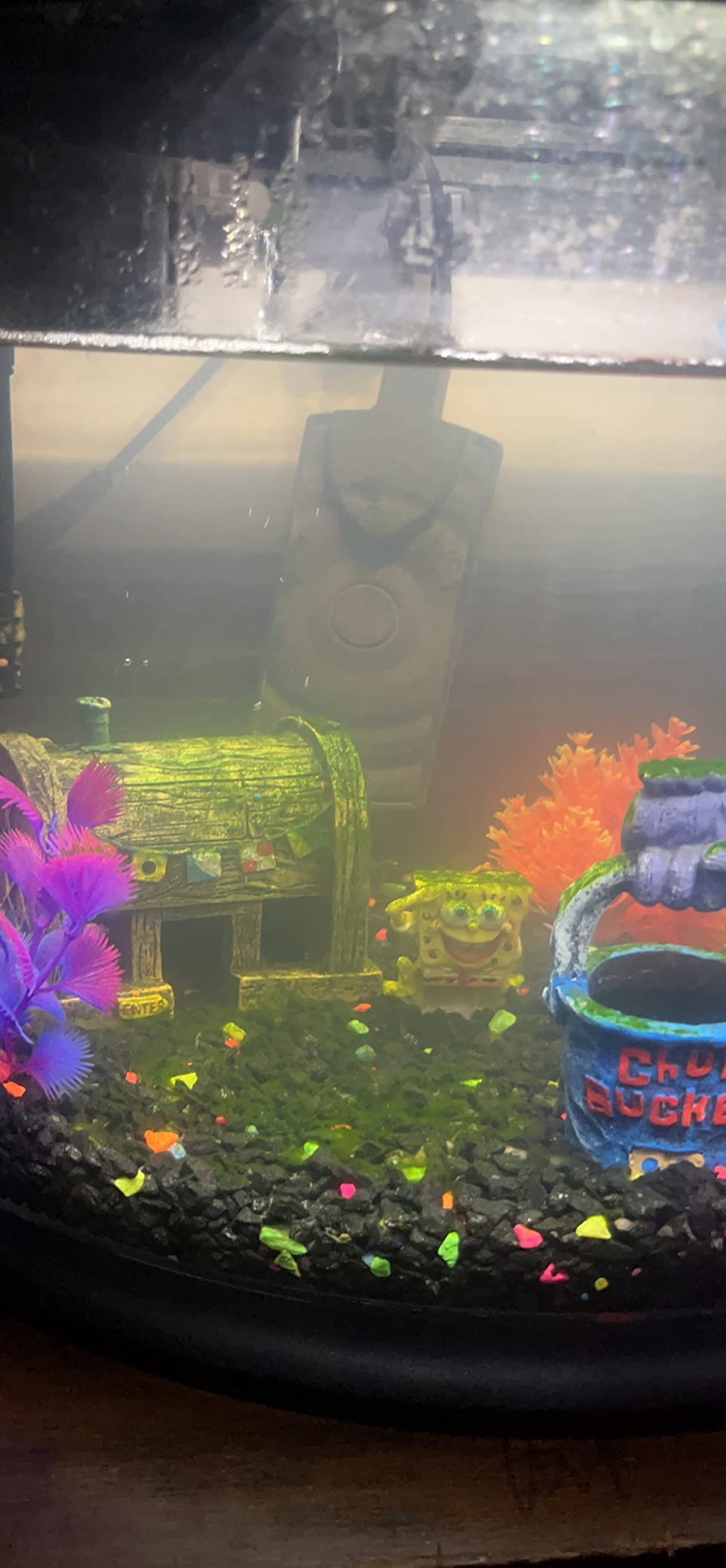 Aqueon Small Aquarium Fish Tank Submersible Mini Flat Heater Up to 2.5 to 5 Gallon Aquariums, 7.5 Watts customer photo 1