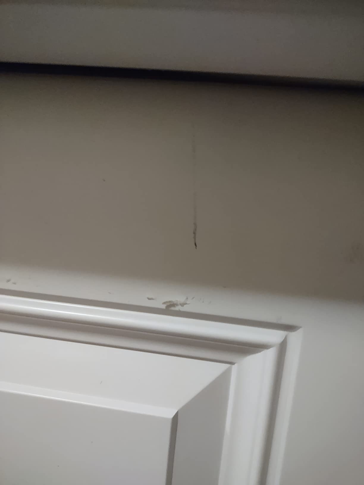 National Door Company ZZ00568R Fiberglass Smooth Primed, Right Hand in-Swing, Prehung Front Door, 9 Lite 2-Panel, Clear Glass, 36