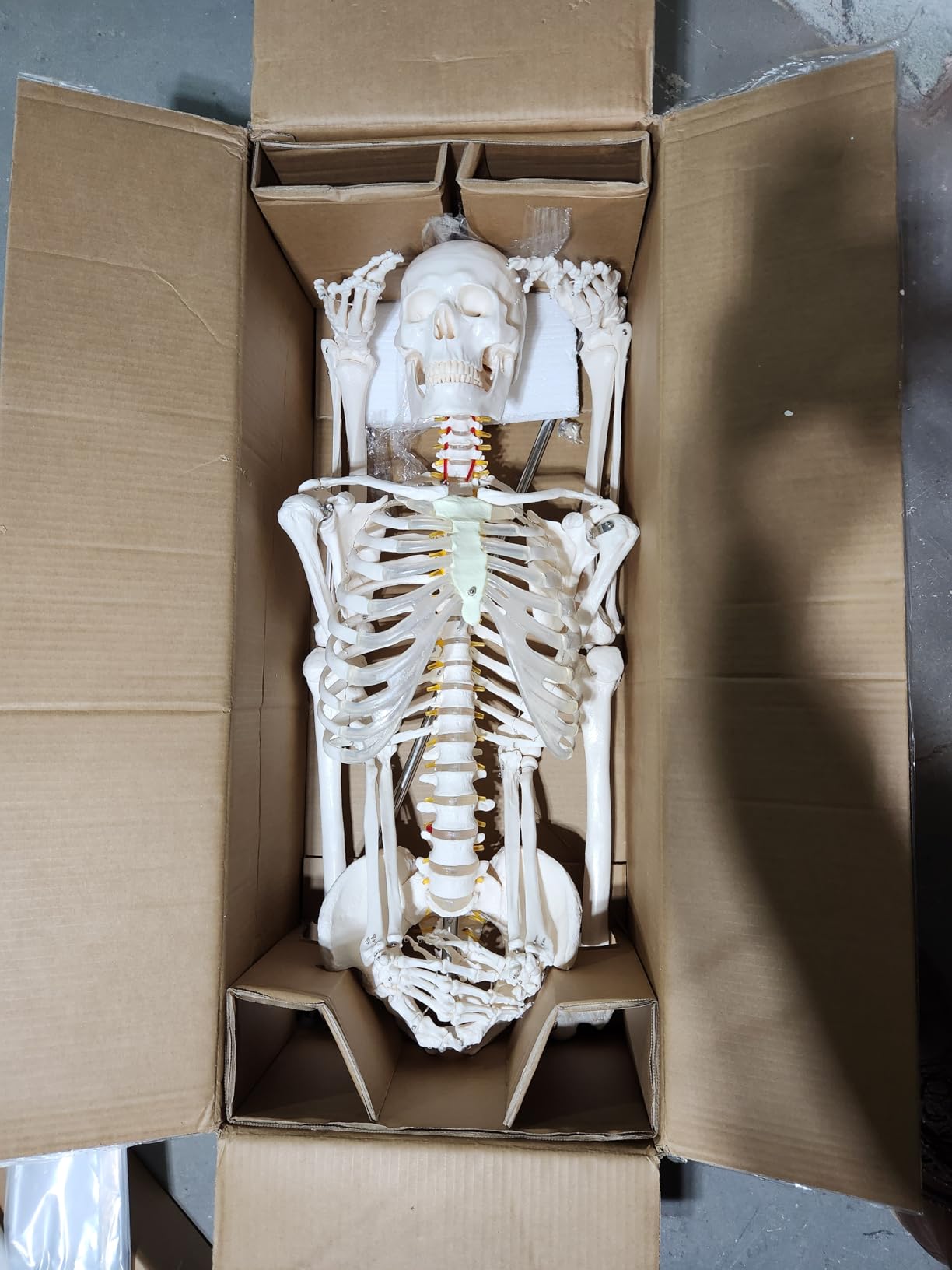 Giantex Life Size 70.8