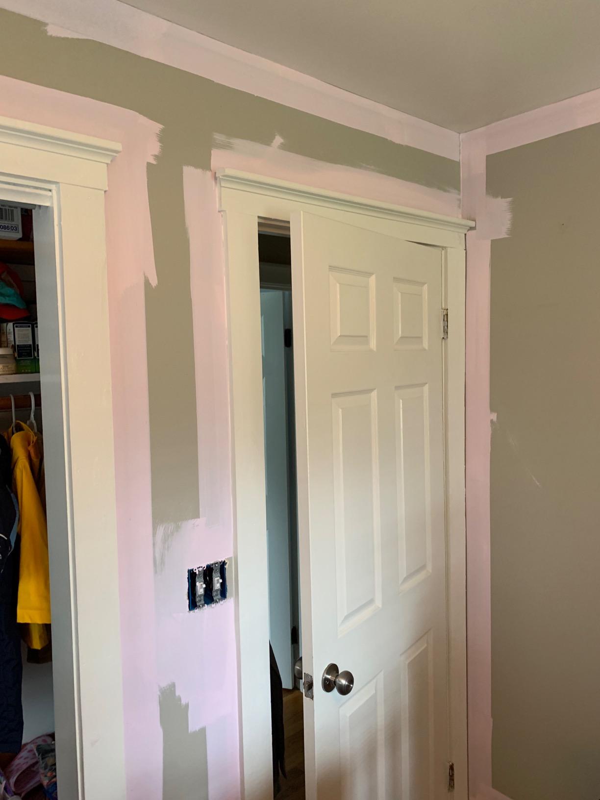 Shur-Line 2006561 Paint Edger Pro with Two Pack of 2001044 Painter's Pad Refills customer photo 1