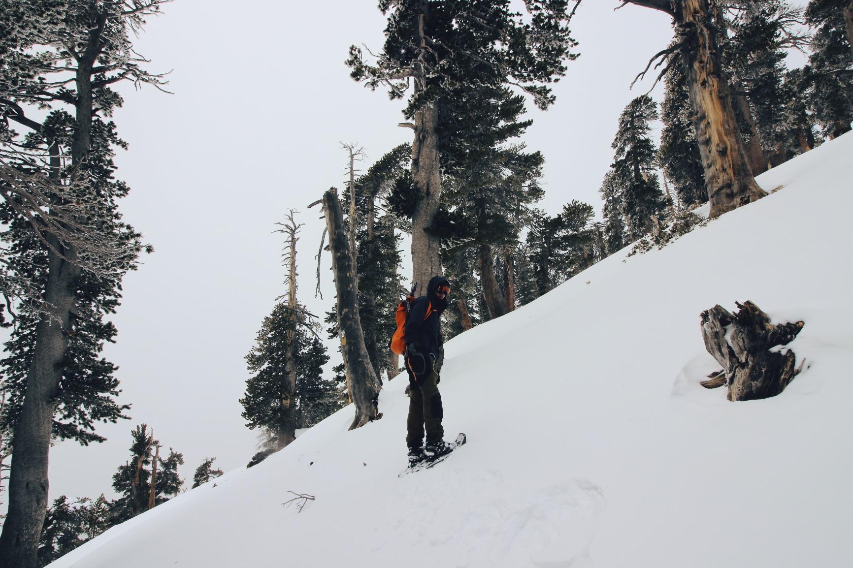 MSR Evo Ascent Backcountry & Mountaineering Snowshoes, 22 Inch Pair customer photo 2