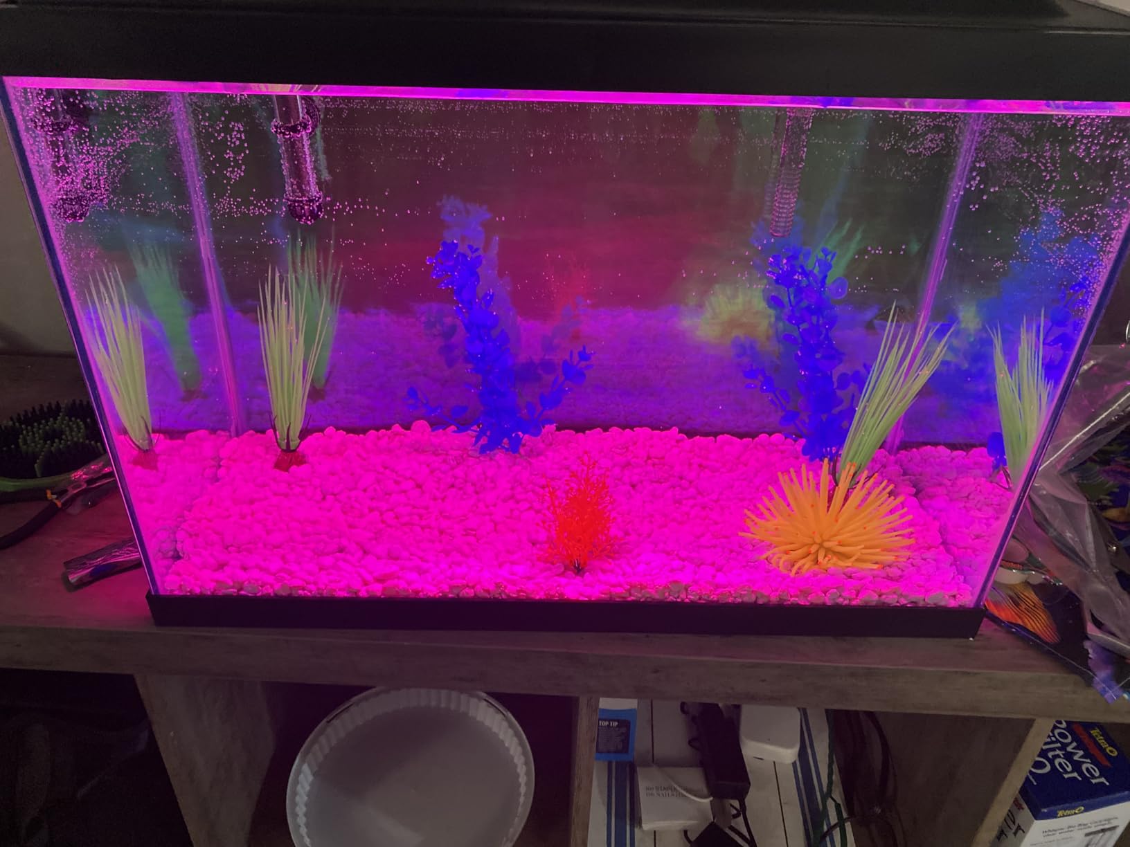 Tetra 20 Gallon Complete Tropical Fish Tank Kit customer photo 1