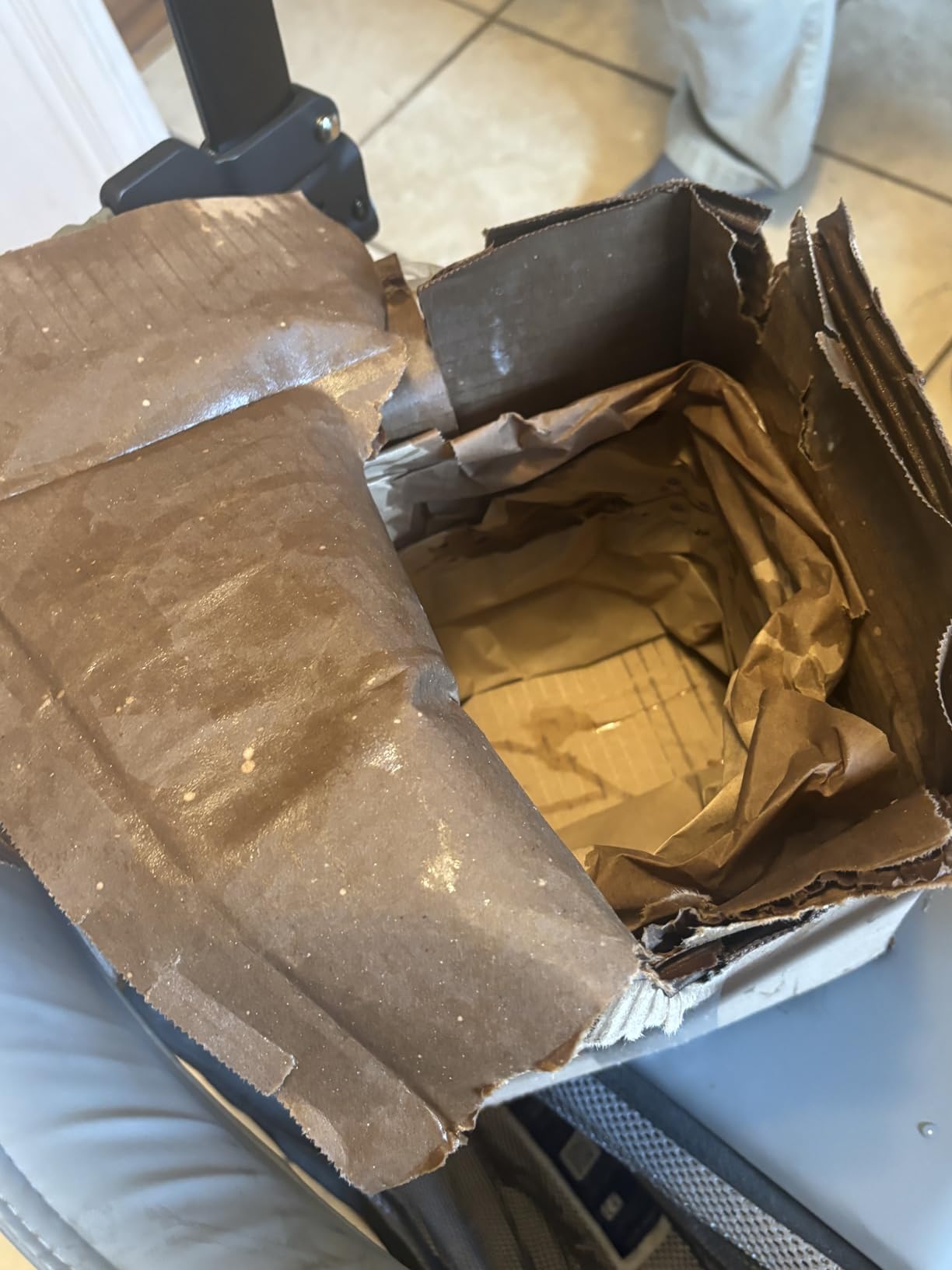 Borosilicate Glass Stove Top Whistling Tea Kettle - 12 Cup/48oz Capacity - BPA-Free - German Made Glass Kettle for Gas, Electric, and Glass Ranges customer photo 1