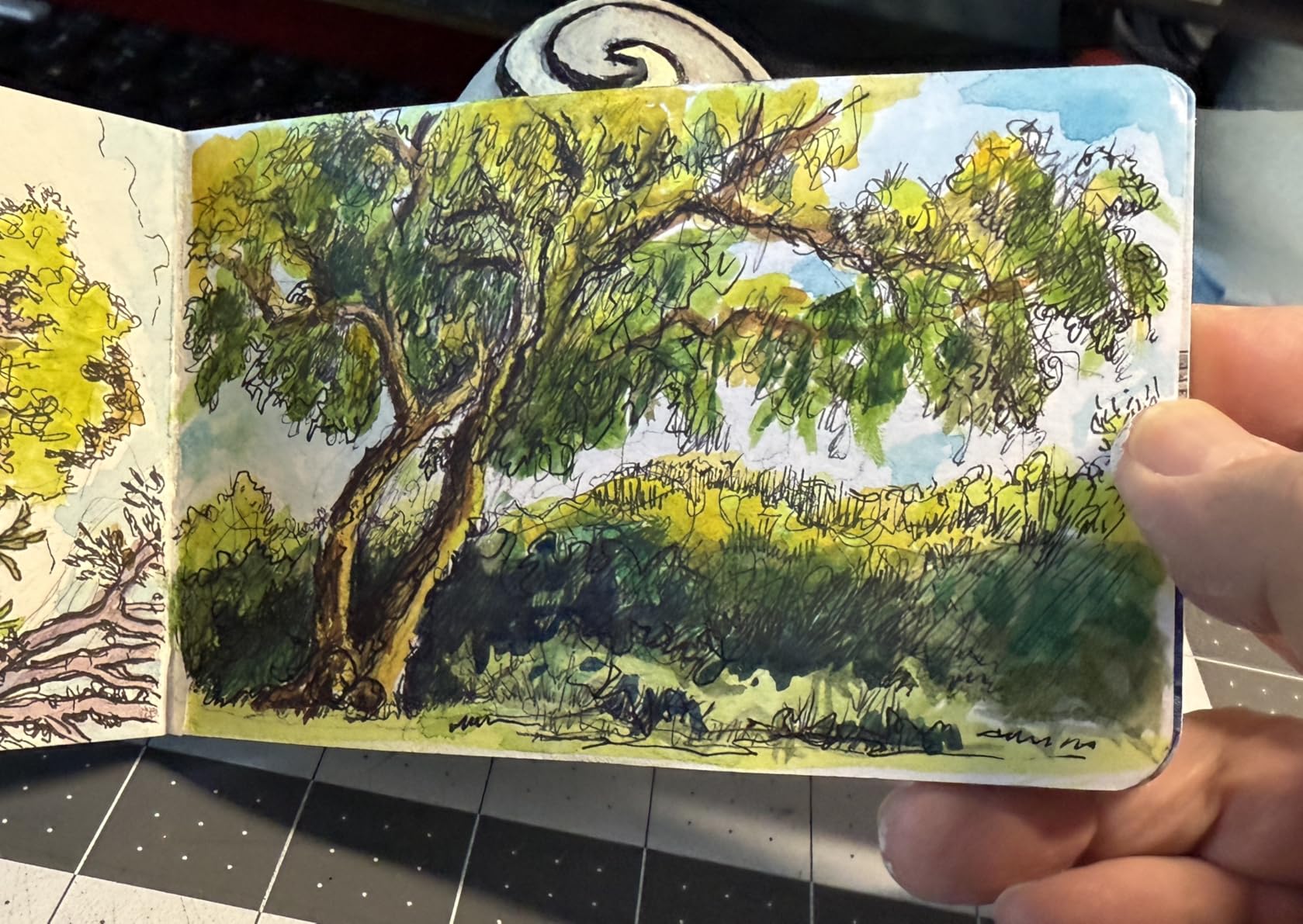 Stillman & Birn Beta Series Softcover Sketchbook, 5.5