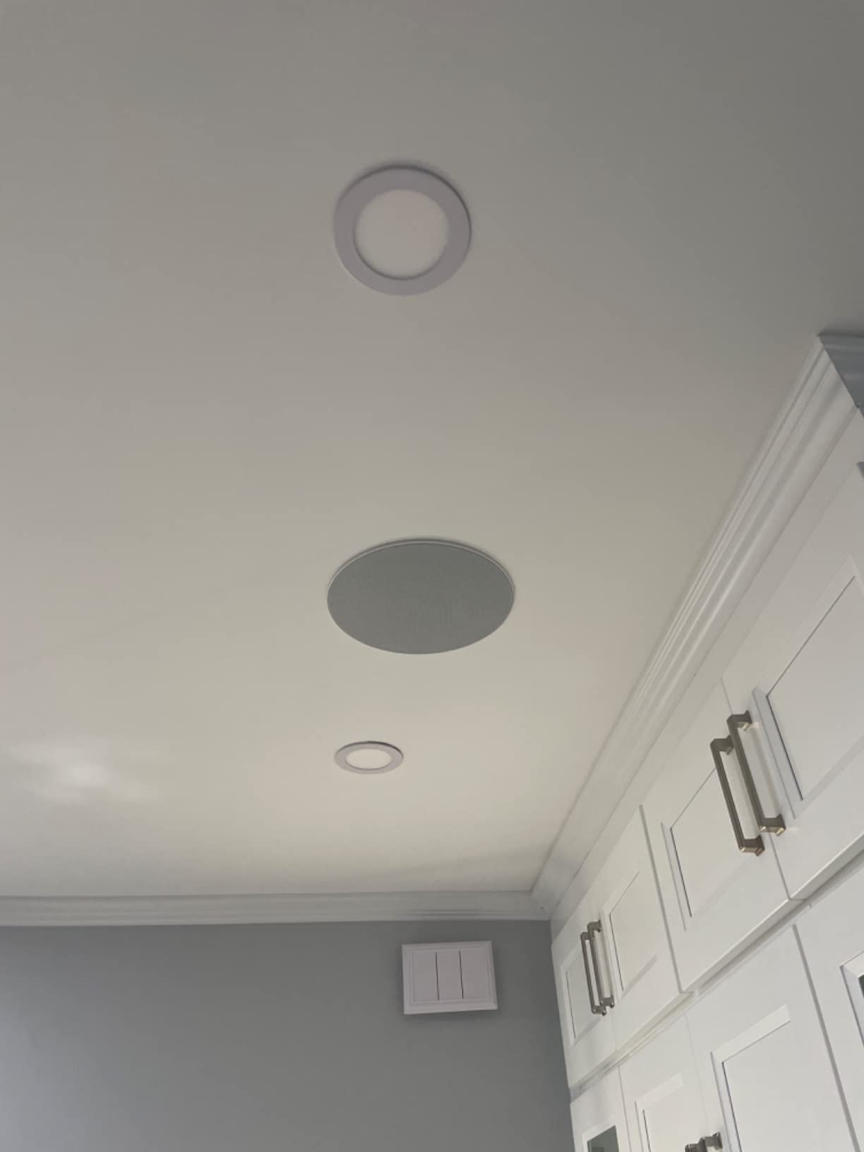 Bose Virtually Invisible 791 in-Ceiling Speaker II customer photo 2
