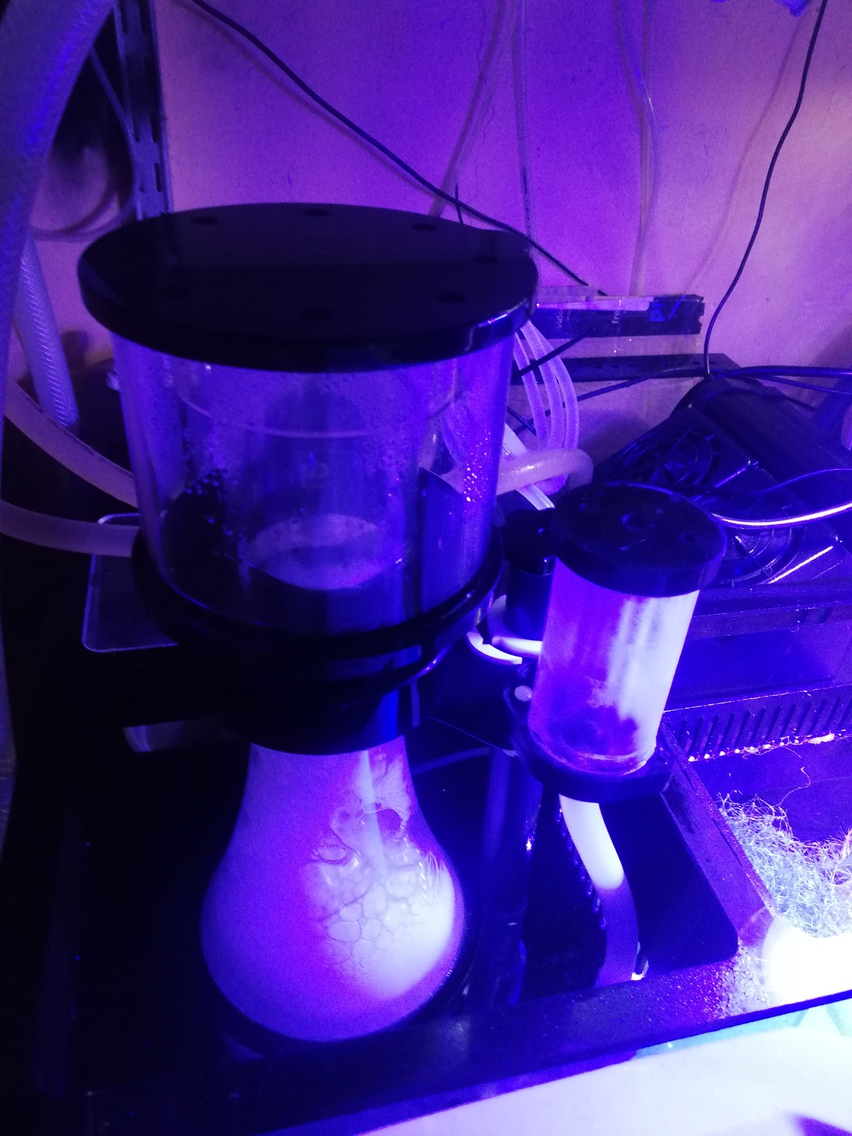 Simplicity 120DC Protein Skimmer customer photo 1