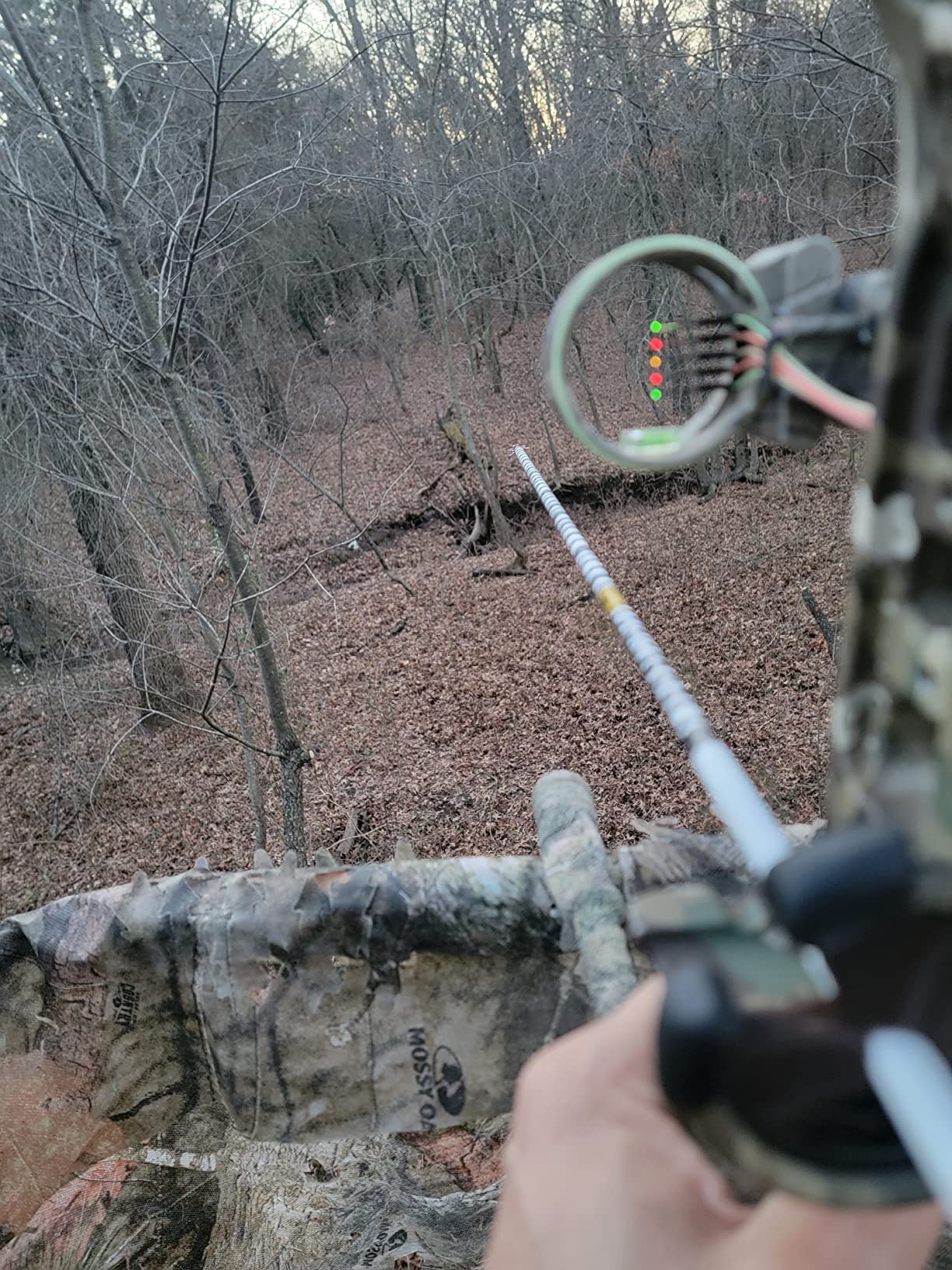 TRUGLO Carbon Xtreme 5-Pin Highly-Visible Durable Ultra-Lightweight Carbon Composite Archery Bow Sight with Large Circular Field of View - Adjustable for Right & Left-Hand Shooters customer photo 1