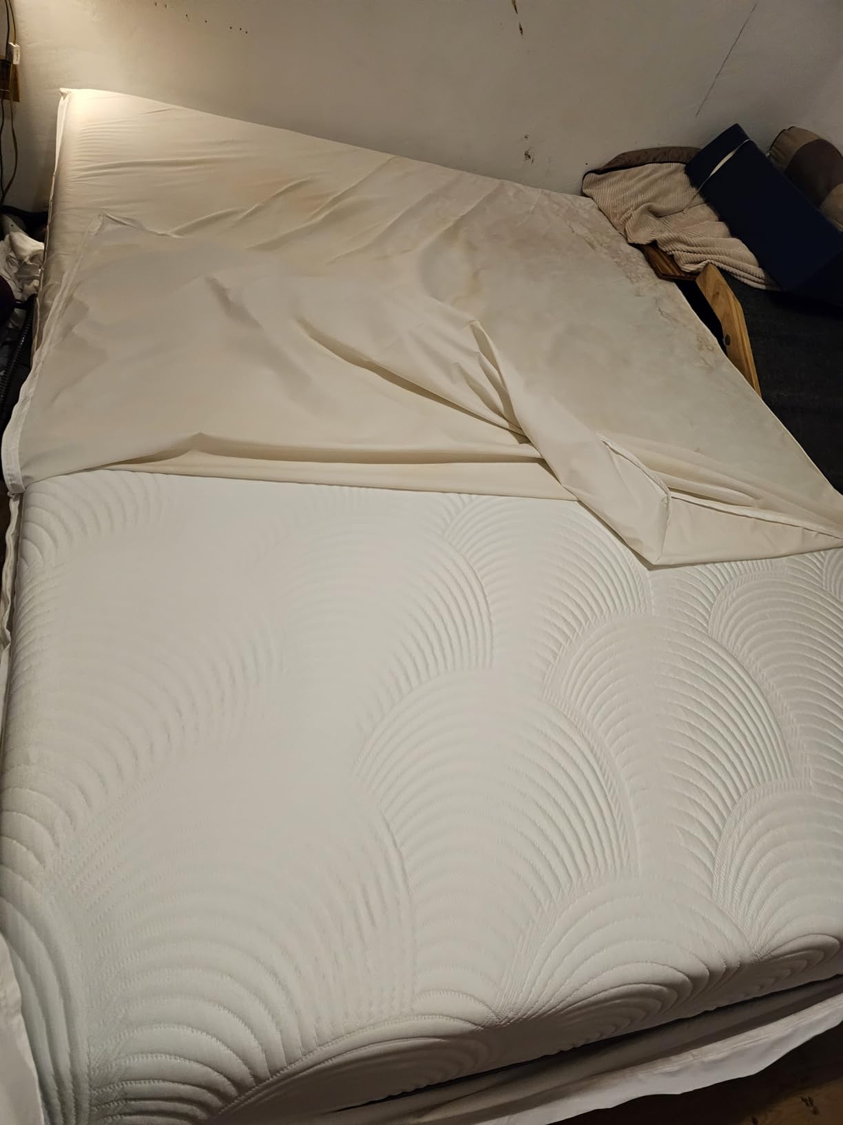 AllerEase Ultimate Allergy Protection and Comfort Zippered Mattress Protector, Queen customer photo 1