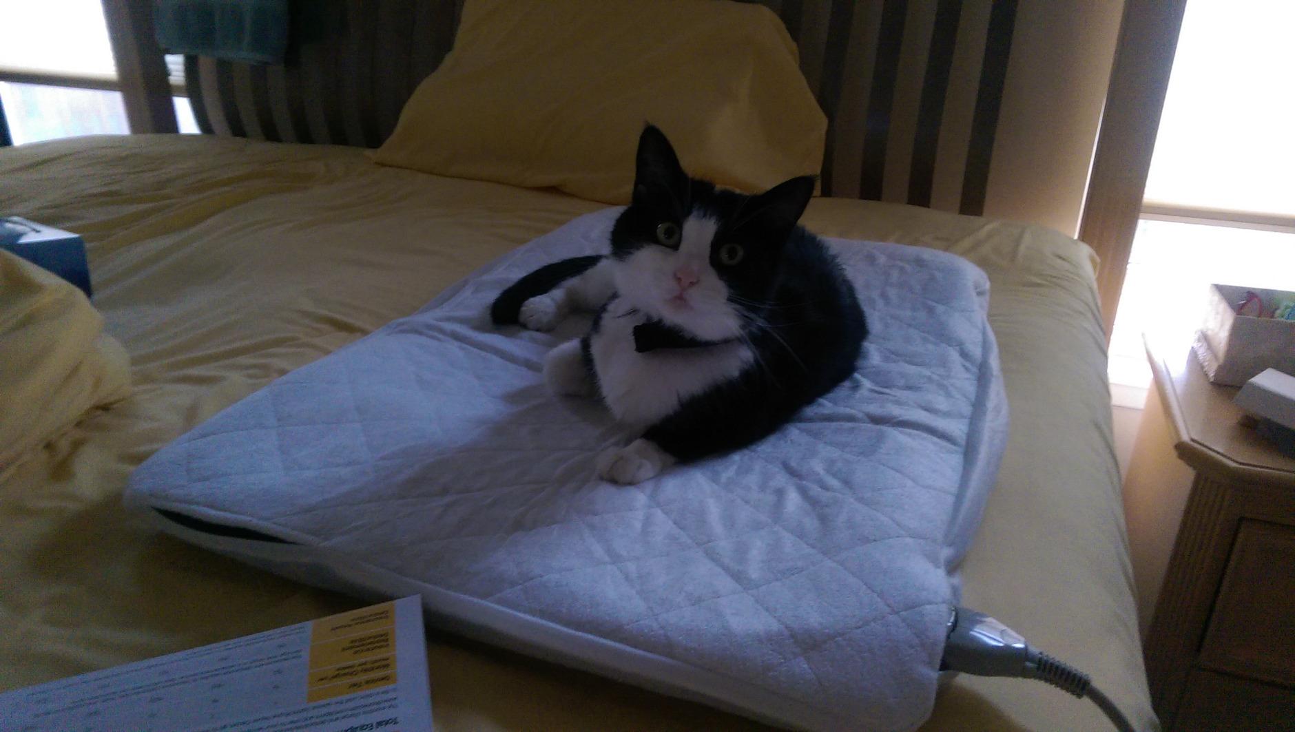 MediCrystal Far Infrared Professional Amethyst Mat 71