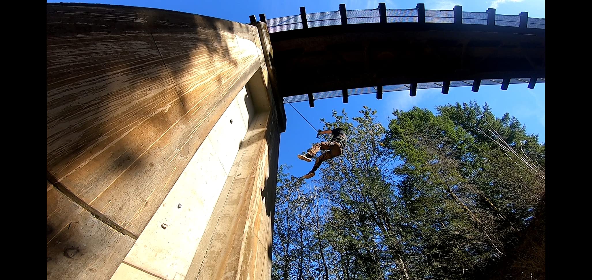 BLACK DIAMOND Gridlock Screwgate Carabiner | Isolated Belay Loop | Keylock Nose | Secure Belay Carabiner for Rock Climbing customer photo 2