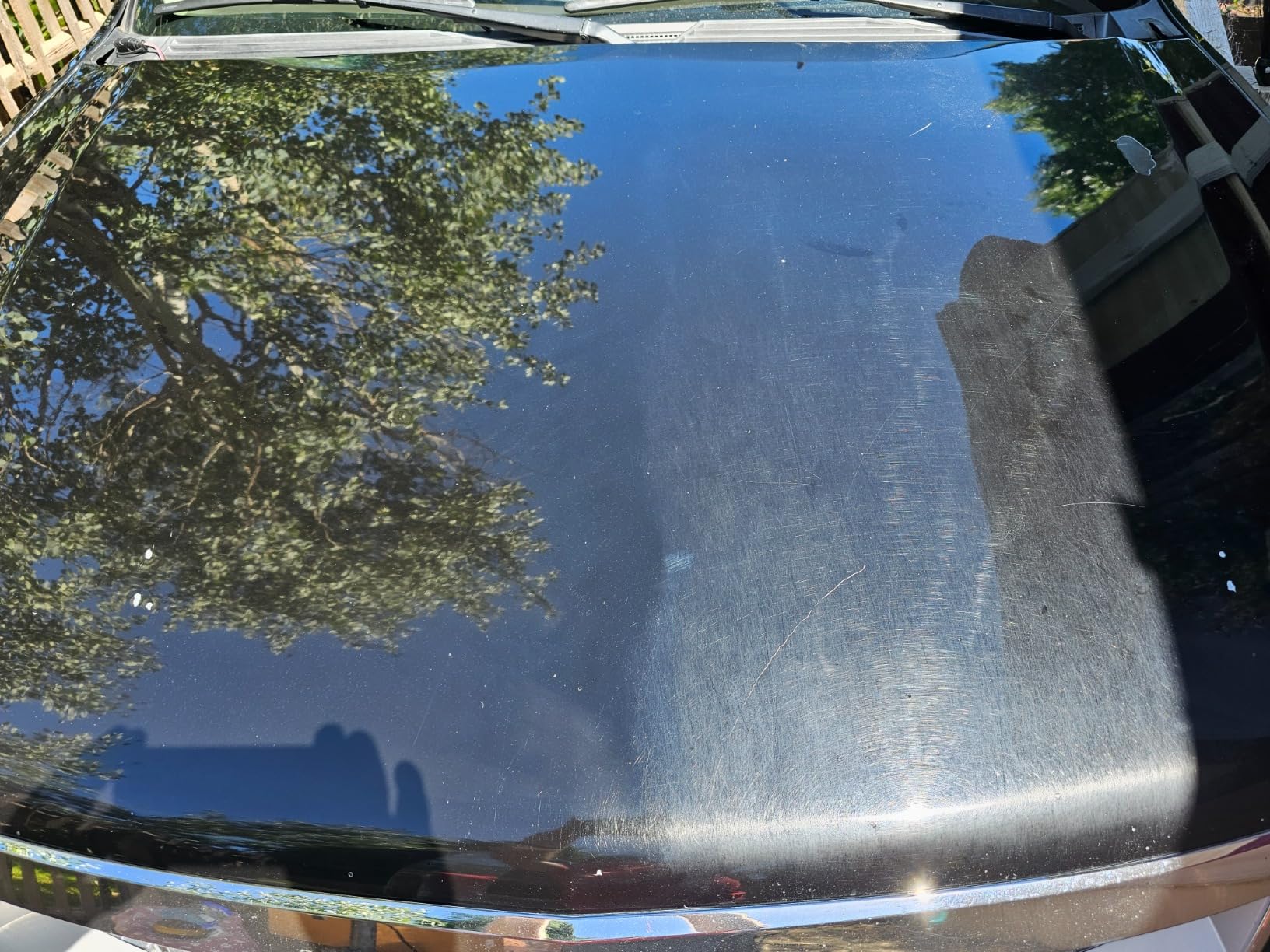 Chemical Guys TORQX Dual Action Random Orbital Polisher for Cars - Professional Car Buffer for Trucks and SUVs - 700W Motor, 8mm Orbit, Lightweight 4.7 lb Design, Paint Correction customer photo 1