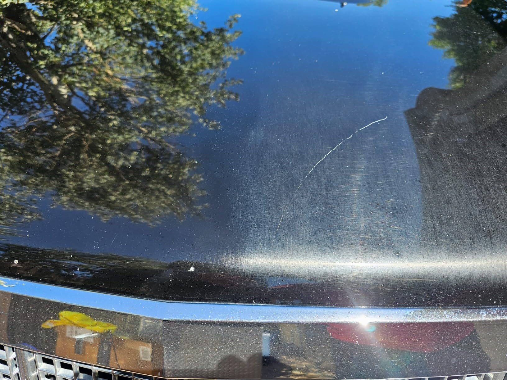 Chemical Guys TORQX Dual Action Random Orbital Polisher for Cars - Professional Car Buffer for Trucks and SUVs - 700W Motor, 8mm Orbit, Lightweight 4.7 lb Design, Paint Correction customer photo 2