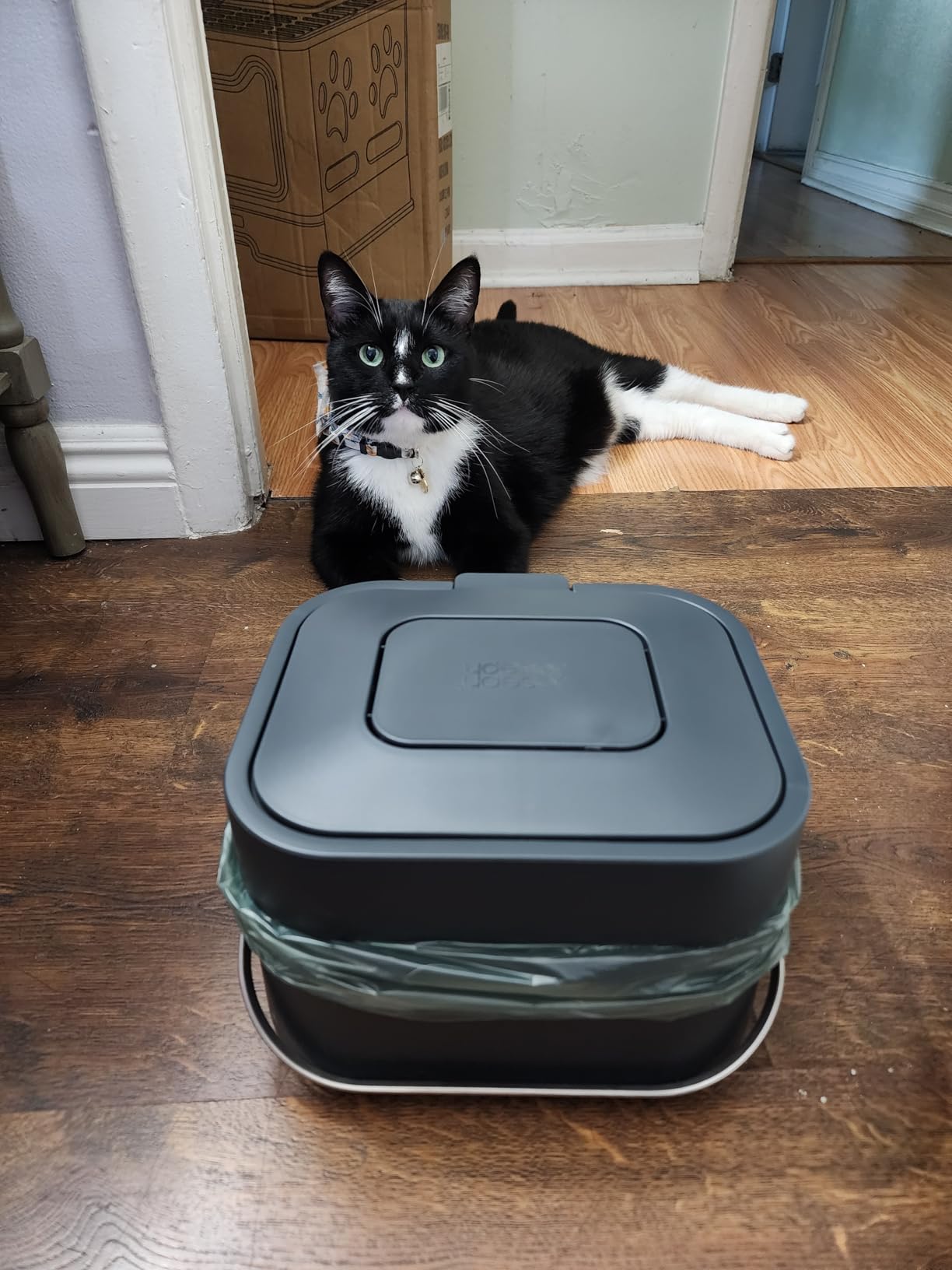 Joseph Joseph Stack Kitchen Food Intelligent Waste Compost Caddy Recycling Bin with Odor Filter, 4 Litre / 1 Gallon - Stone customer photo 1