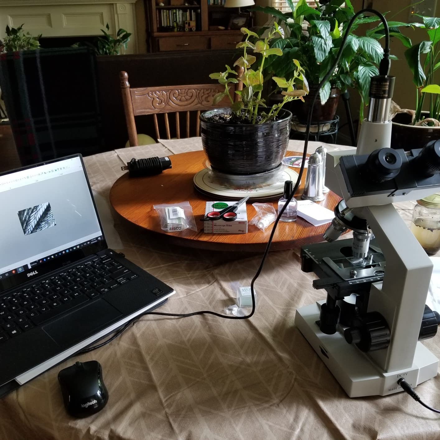 OMAX - 40X-2500X LED Digital Trinocular Lab Compound Microscope with 5MP Camera and Mechanical Stage - M83EZ-C50S customer photo 1
