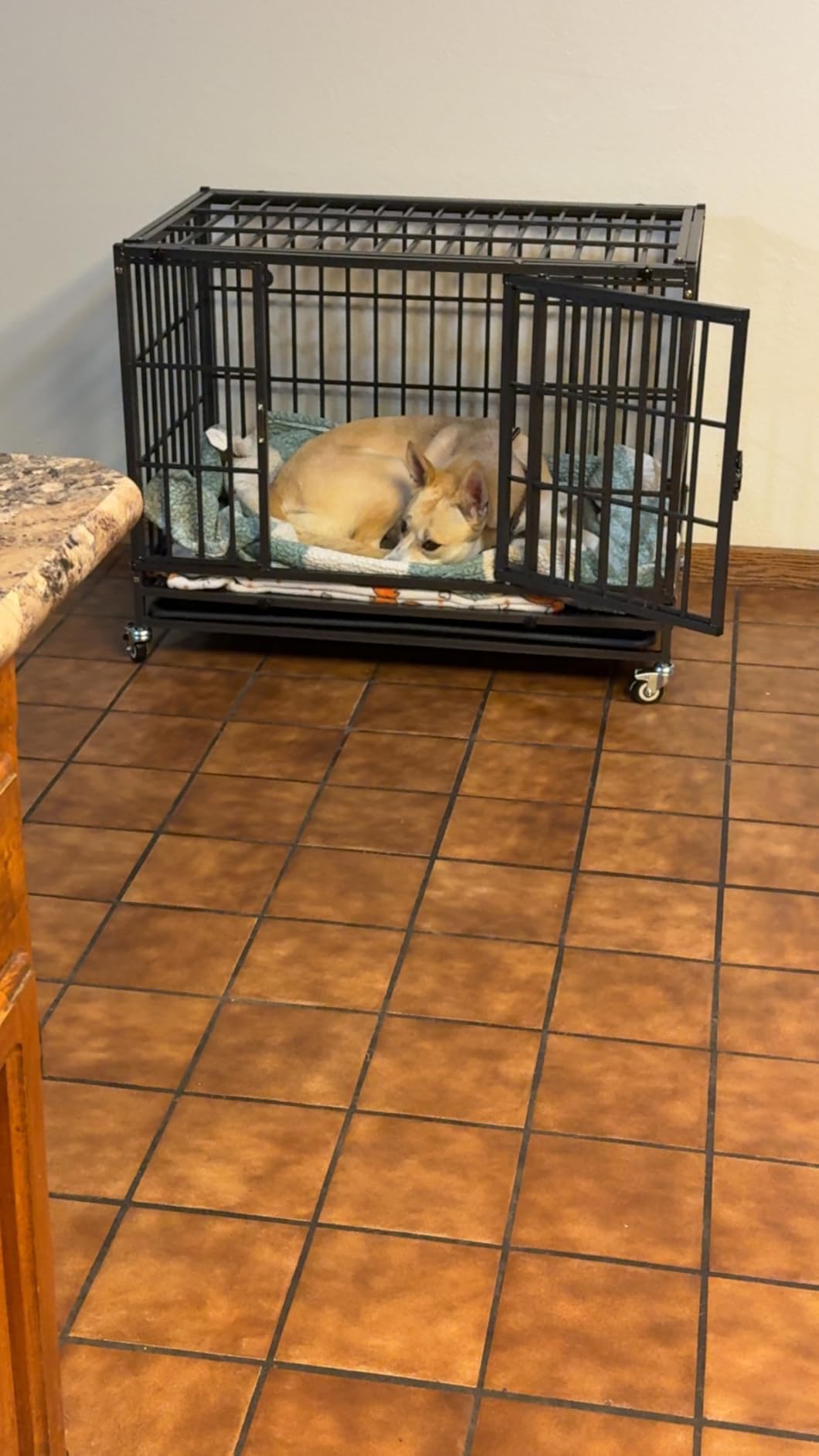 Homey Pet 37 inch Stackable Heavy Duty Dog Crate, Indestructible Escape Proof Dogs Cage Kennel with Lockable Wheels, Removable Tray & Metal Grid, Double Doors for High Anxiety Medium/Small Dogs customer photo 2