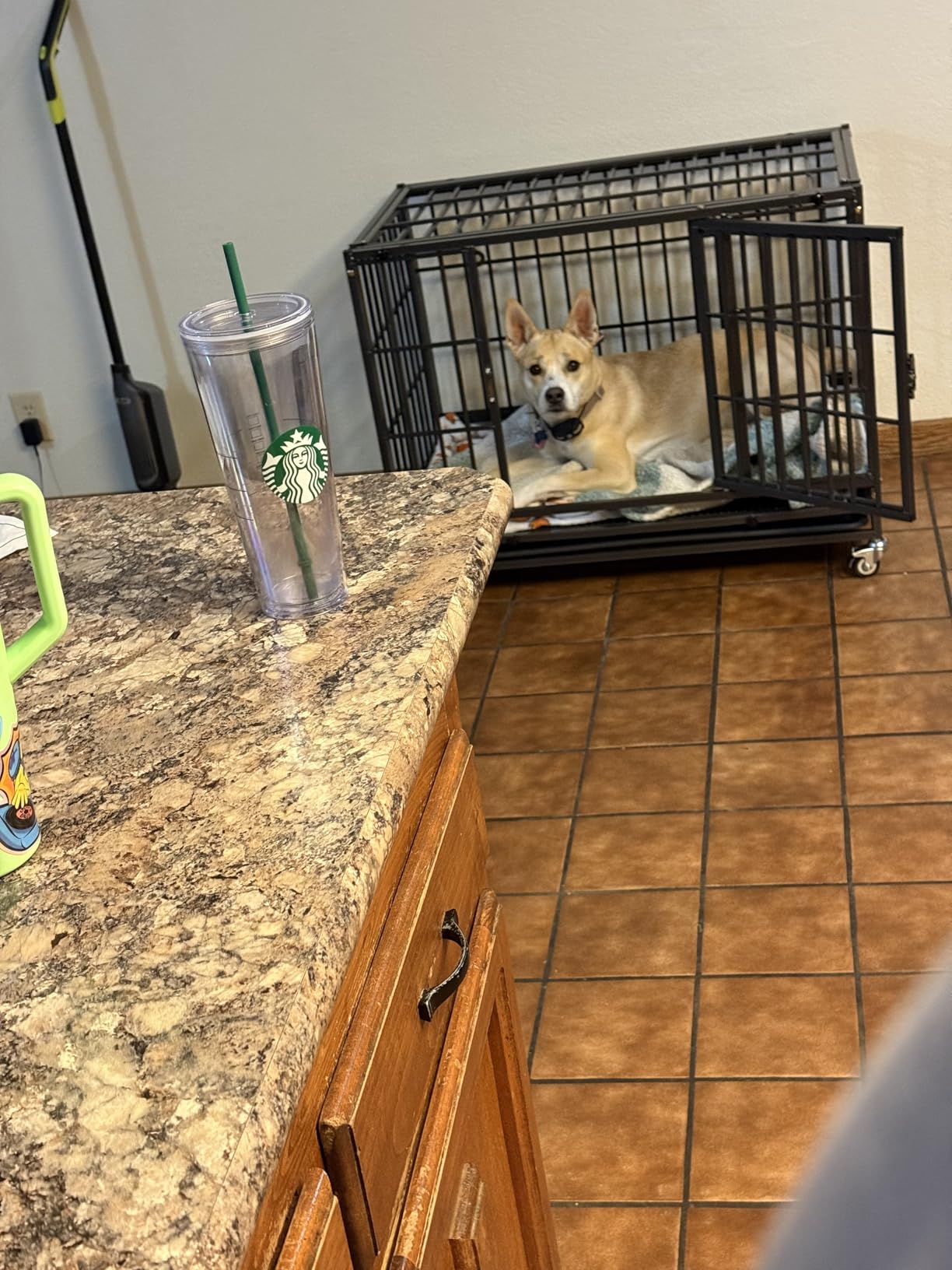 Homey Pet 37 inch Stackable Heavy Duty Dog Crate, Indestructible Escape Proof Dogs Cage Kennel with Lockable Wheels, Removable Tray & Metal Grid, Double Doors for High Anxiety Medium/Small Dogs customer photo 3