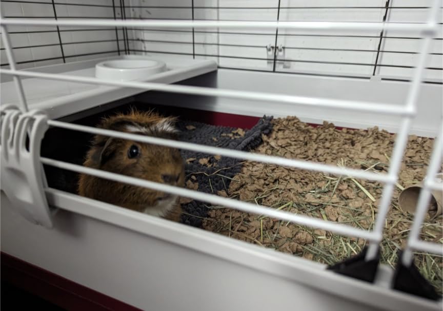 MidWest Homes for Pets 158 Wabbitat Deluxe Rabbit Home, Rabbit Cage, 39.5 L x 23.75 W x 19.75 H Inch, Maroon/White customer photo 2