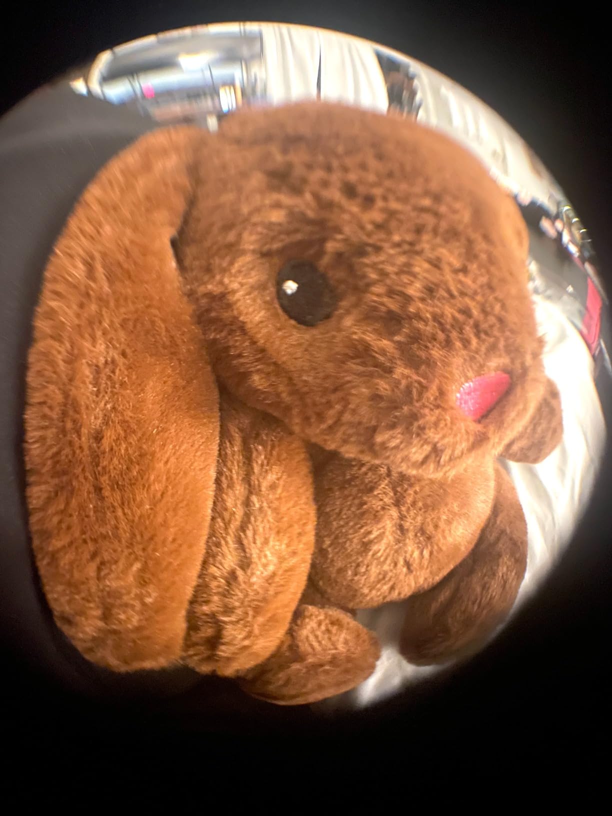 Phone Lens,by Ailun,3 in 1 Clip on 180 Degree Fish Eye Lens+0.65X Wide Angle+10X Macro Lens,Universal HD Camera Lens Kit for Mobile Phone,Cellphone,Smart Phone customer photo 1