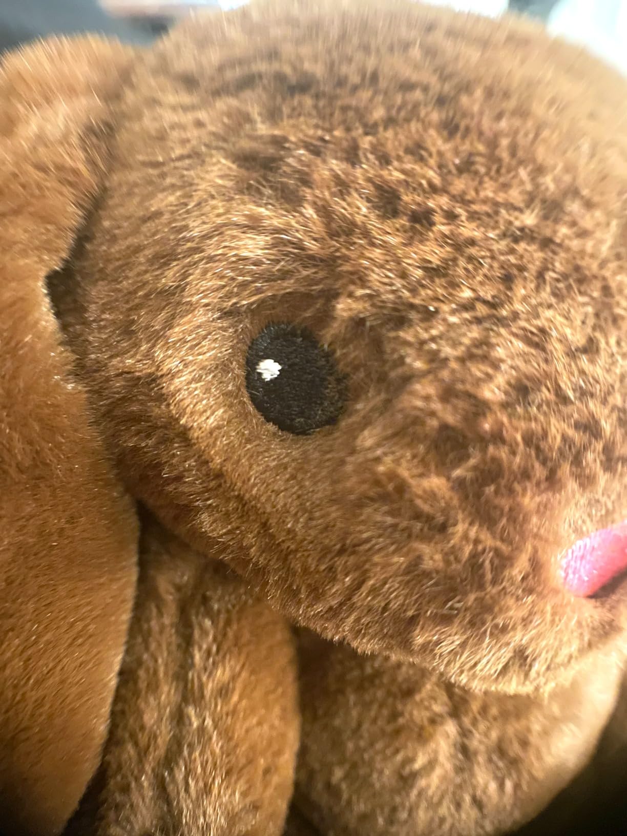 Phone Lens,by Ailun,3 in 1 Clip on 180 Degree Fish Eye Lens+0.65X Wide Angle+10X Macro Lens,Universal HD Camera Lens Kit for Mobile Phone,Cellphone,Smart Phone customer photo 2