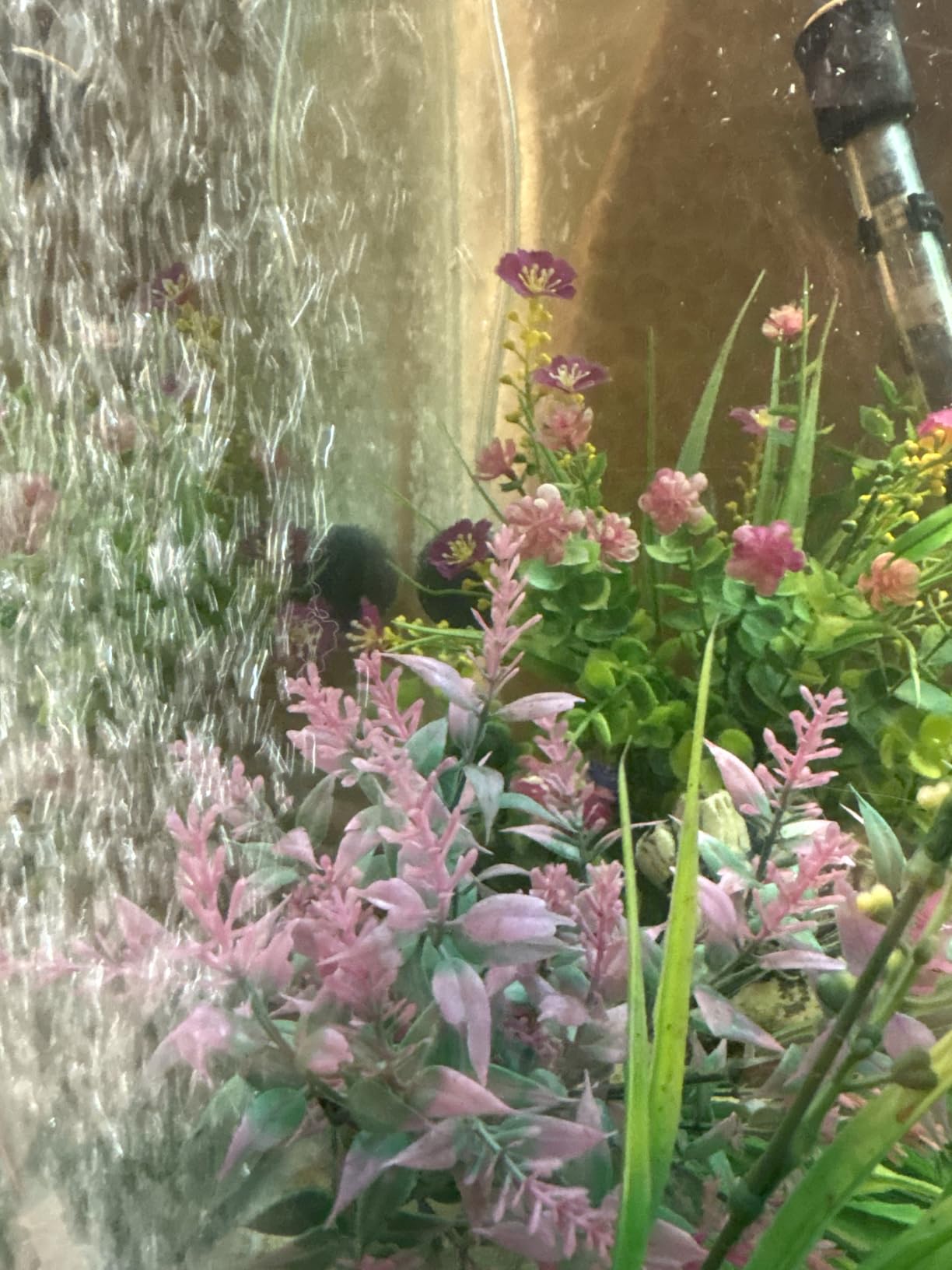 Uniclife Aquarium Air Pump Dual Outlet Fish Tank Aerator with Accessories for 5-200 Gallon Tank customer photo 2