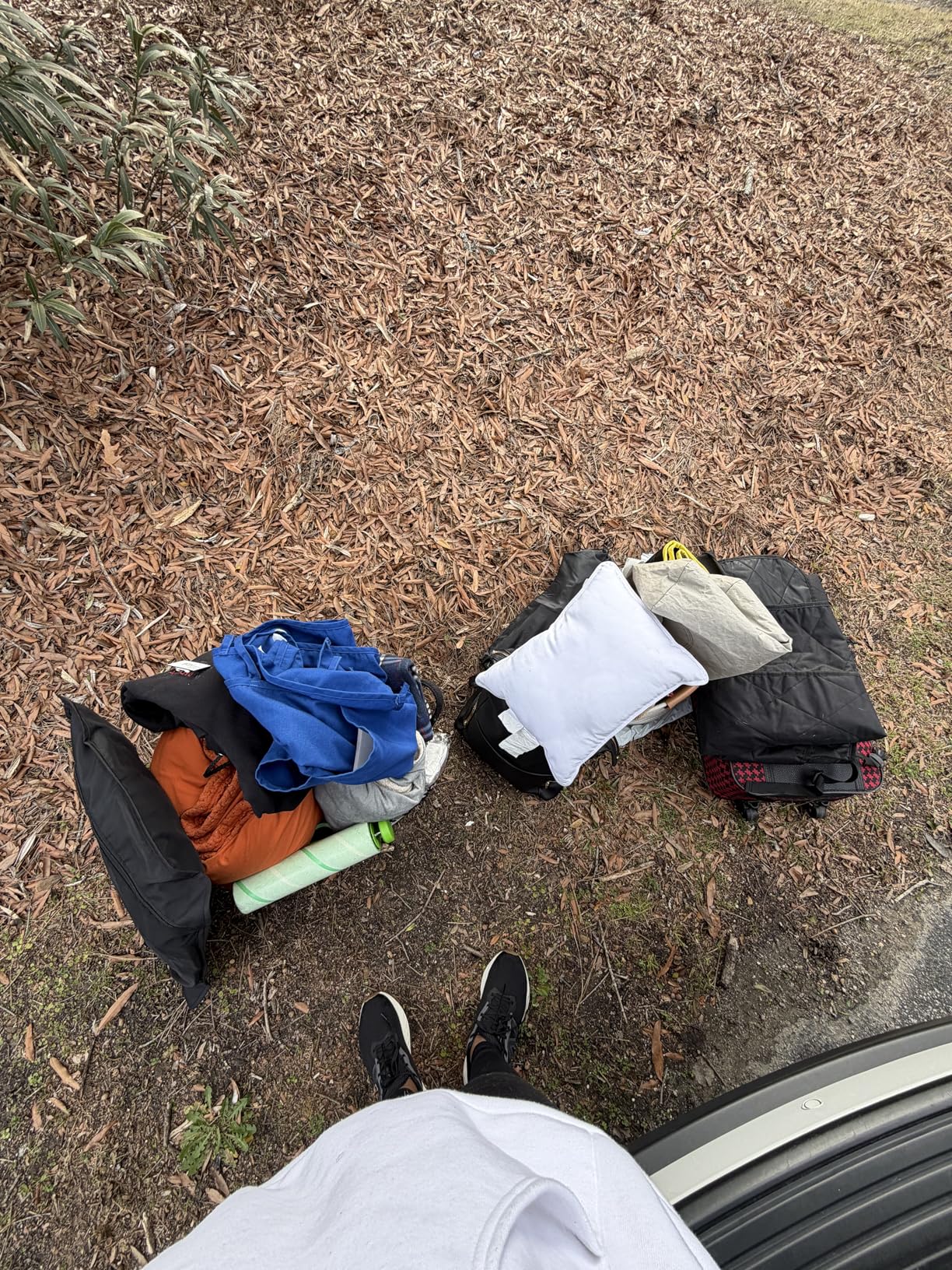 TRUNKCRATEPRO Trunk Organizer For Car, Suv, Truck | Premium Adjustable Multi Compartments Collapsible Car Trunk Organizer With Securing Straps & Non-Slip Bottom (Large Size, Black) customer photo 1