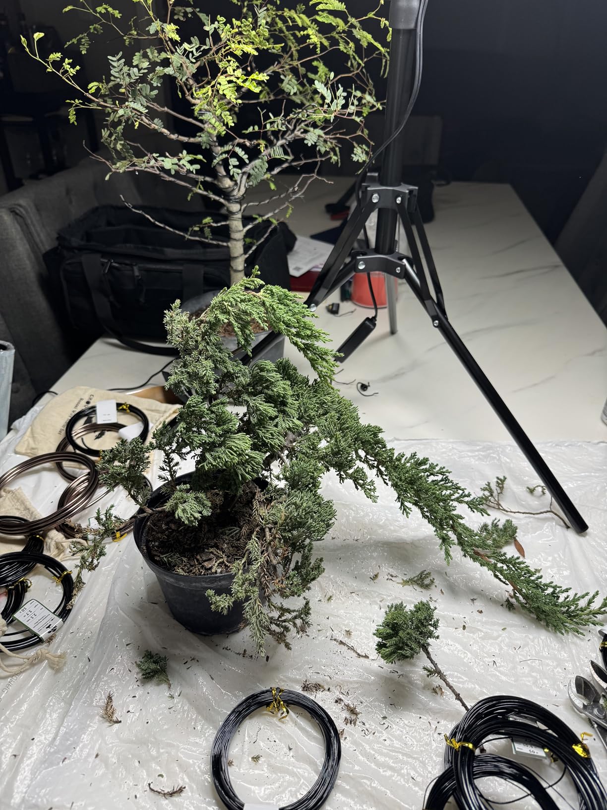 Anodized Aluminum Bonsai Training Wire 5-Size Starter Set with Canvas Bag - 1.0mm, 1.5mm, 2.0mm, 2.5mm, 3.0mm (147 feet total) - Choose Your Color (5 Sizes, Black) customer photo 2